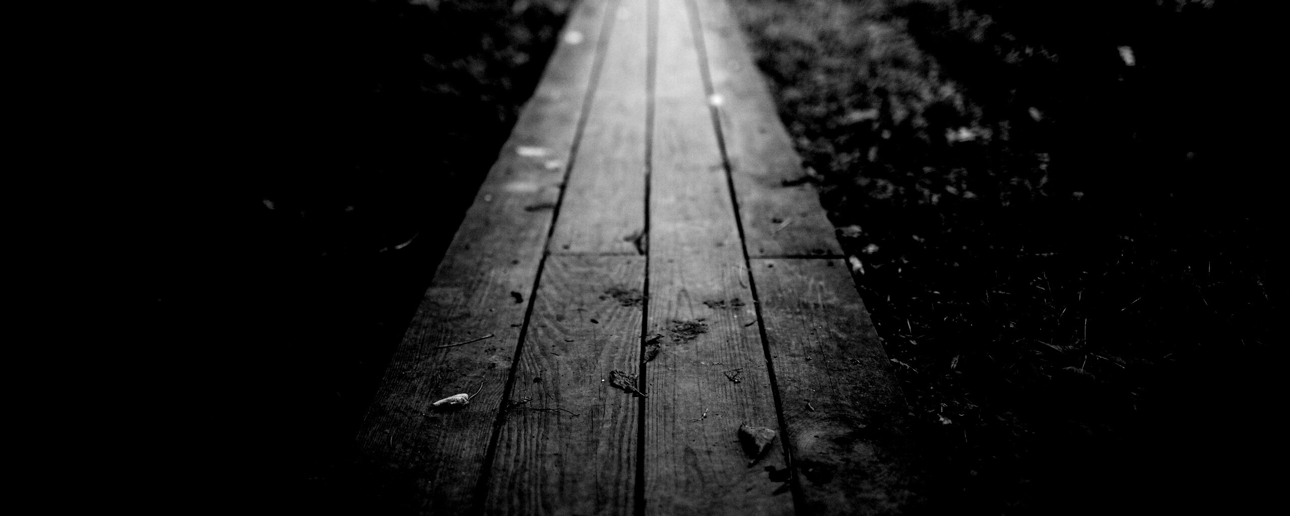 Деревянная тропинка обои