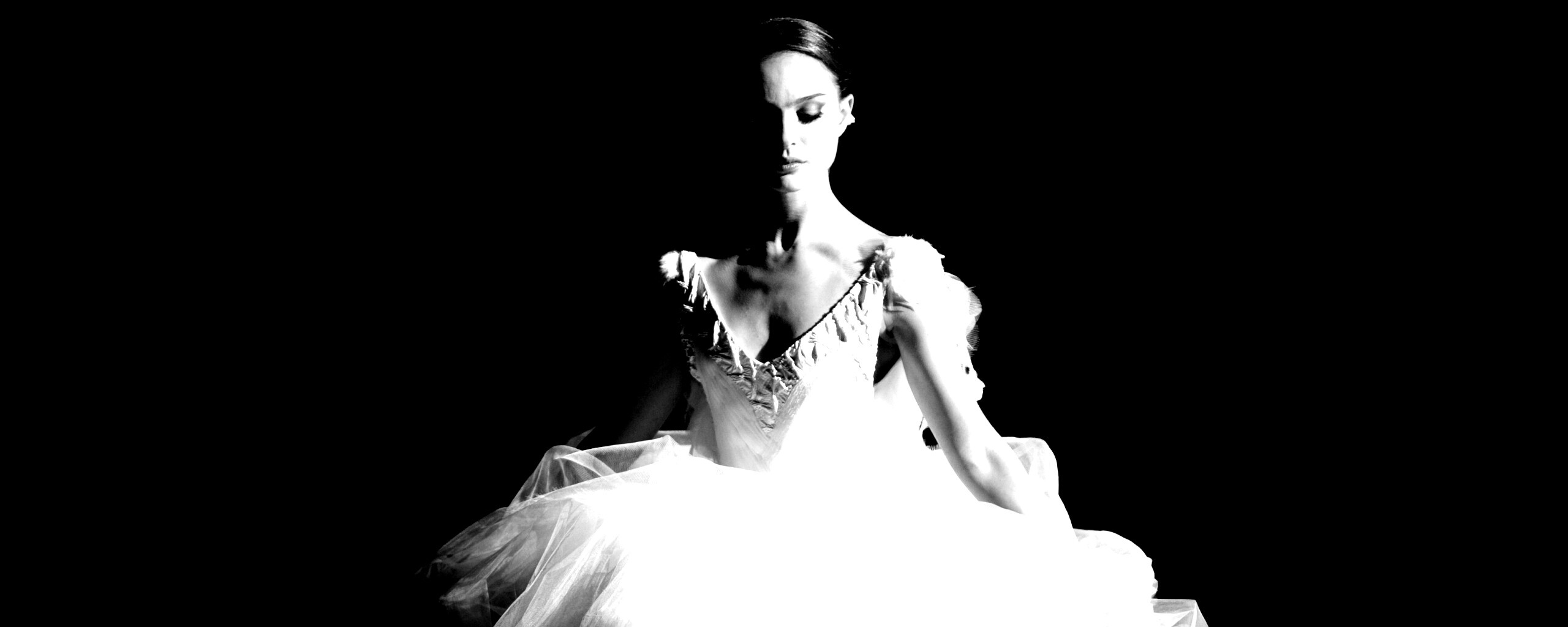 Черный лебедь обои