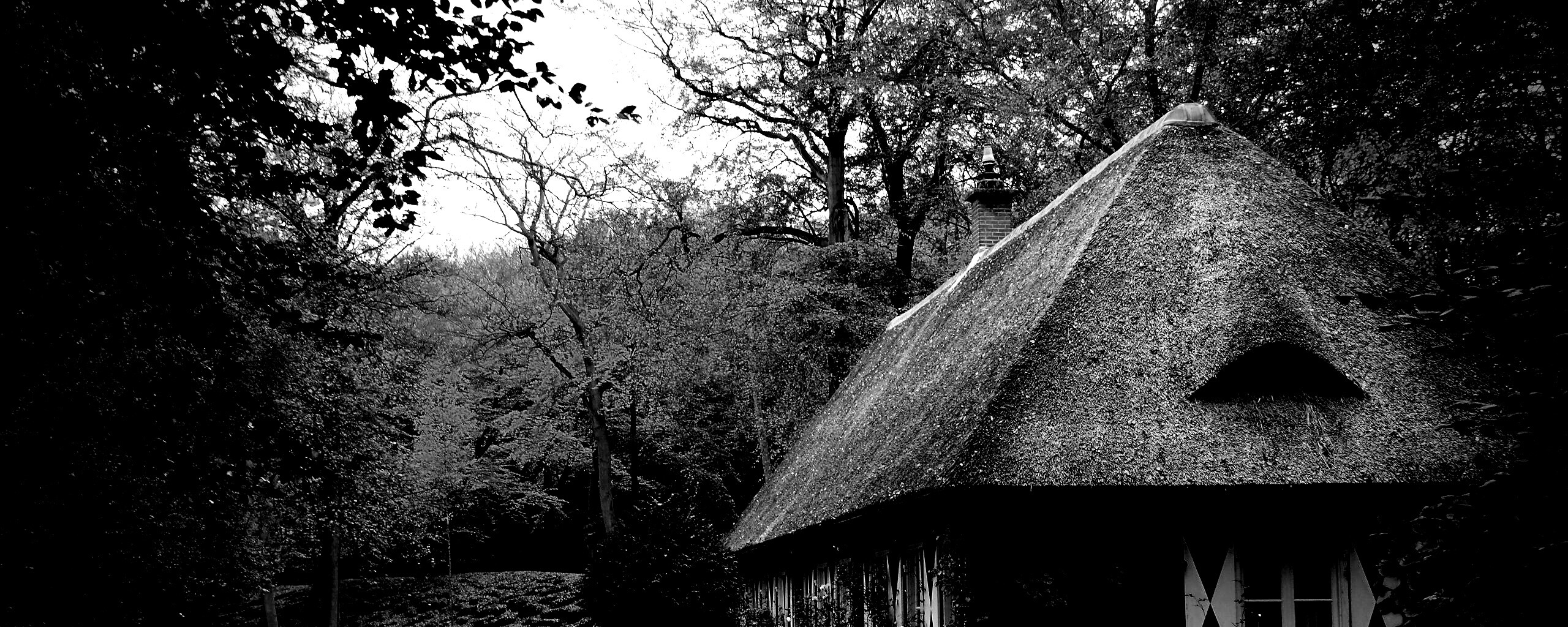 Домик в осеннем лесу обои