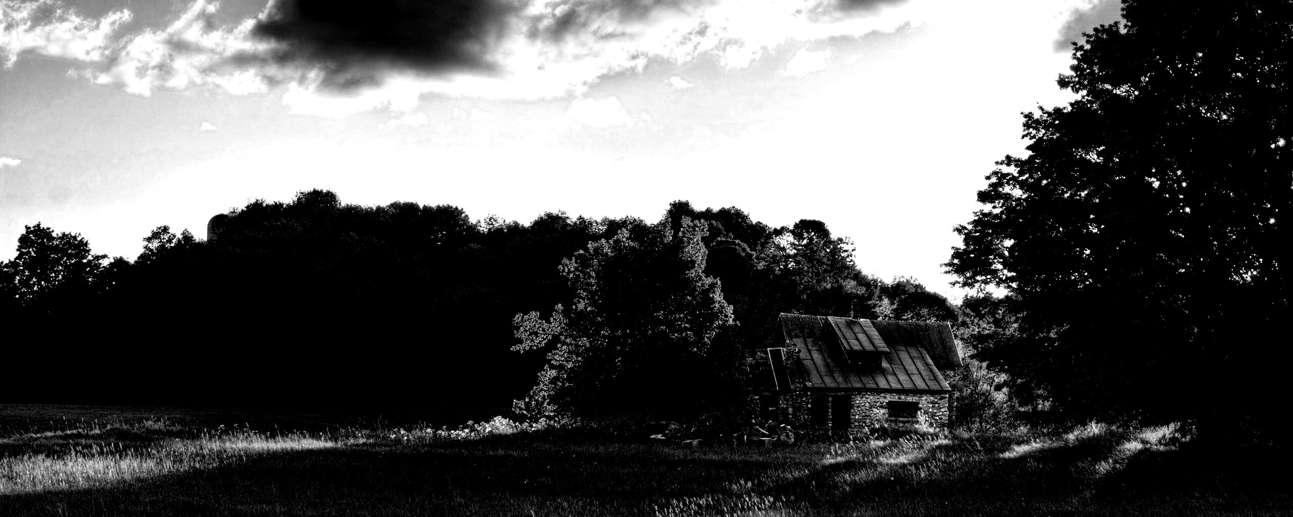 Домик в лесу обои