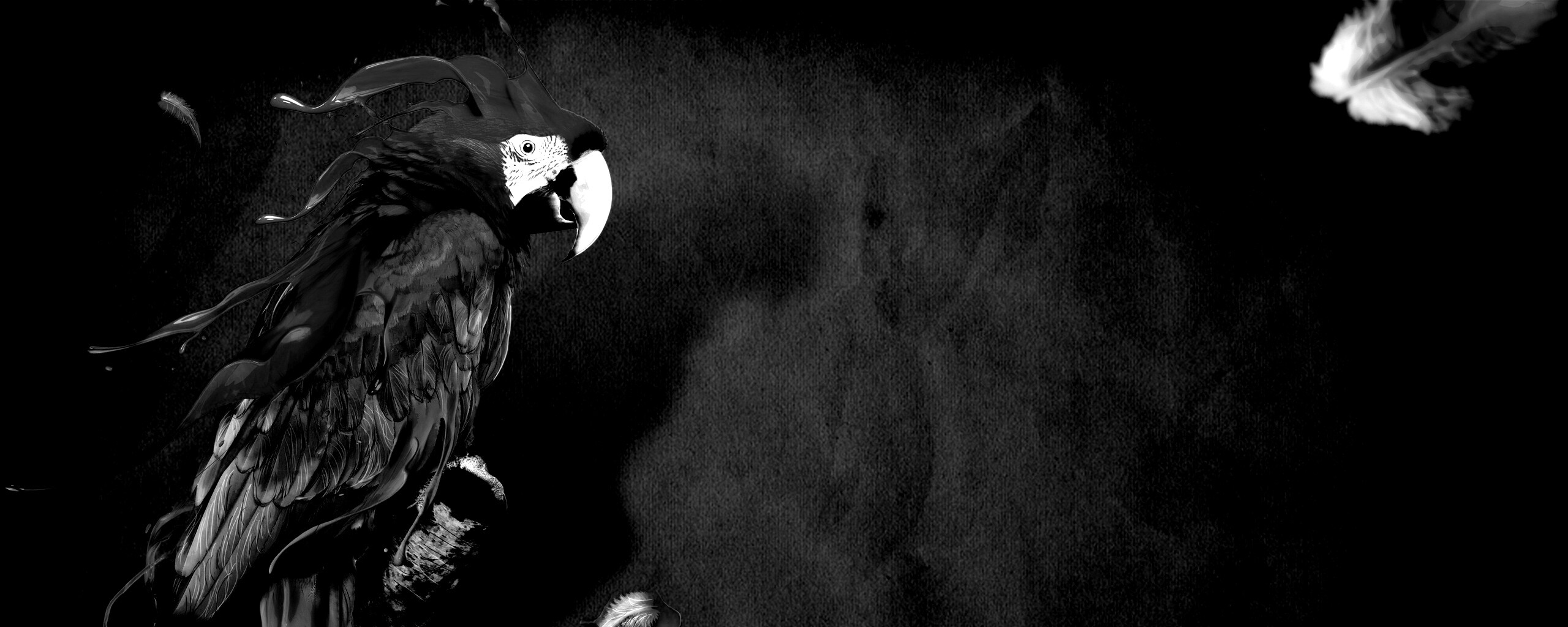 Попугай на ветке обои