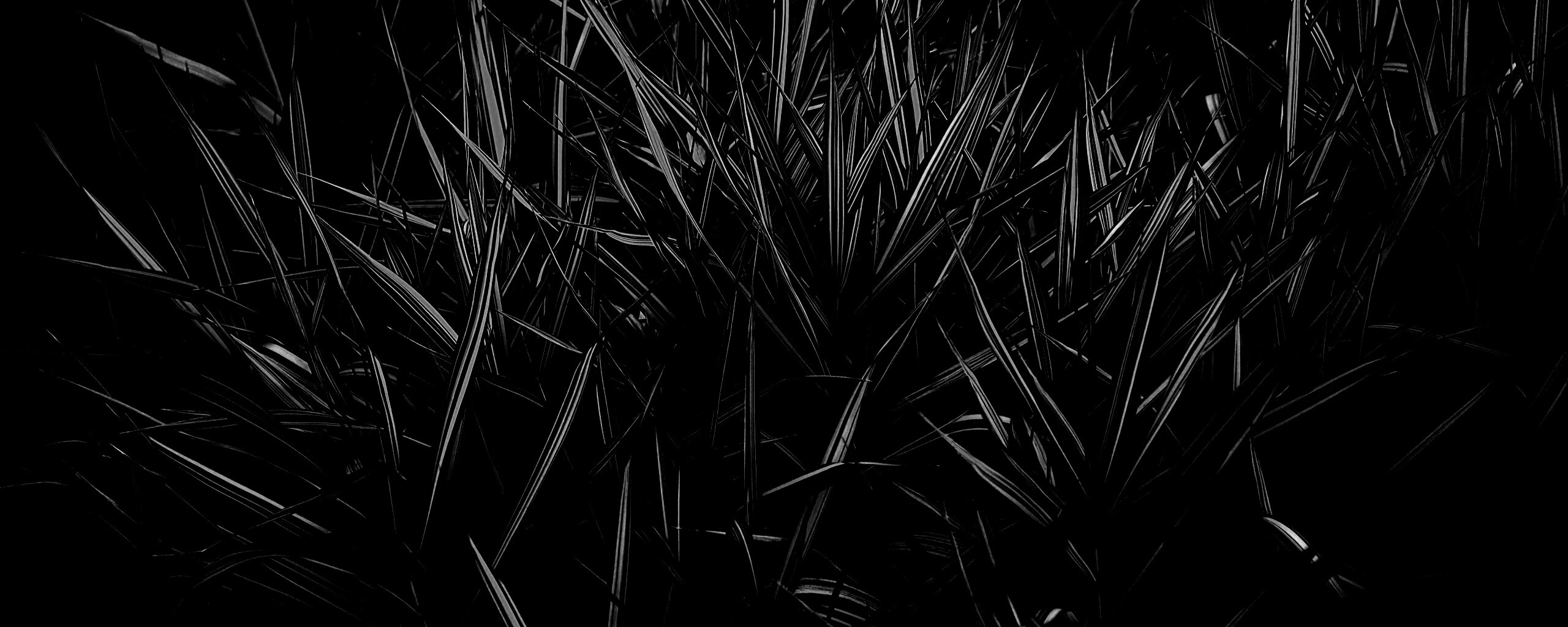 Дикая трава обои