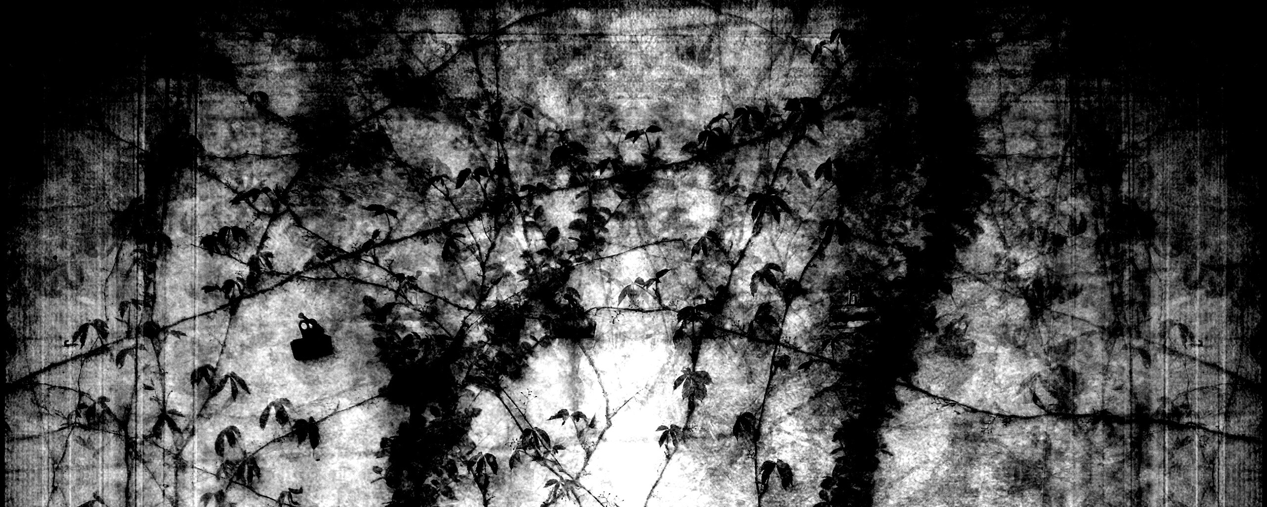 Растение на стене обои