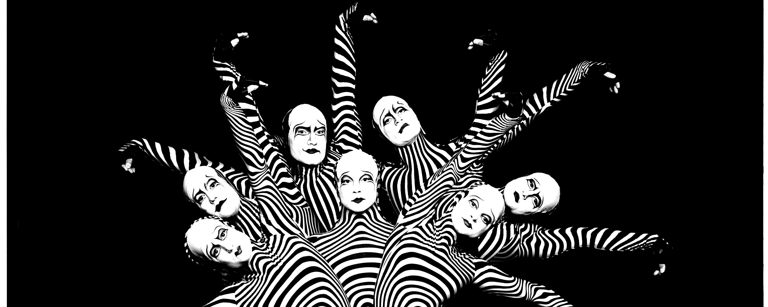 Зеброиды (актеры цирка дю солей) обои