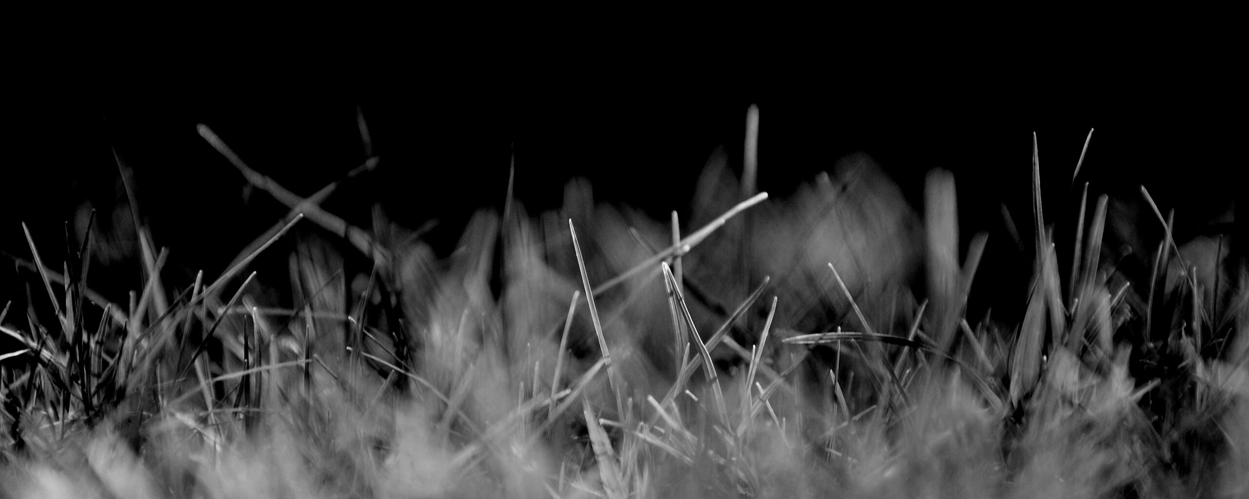 Играя солнечным светом обои