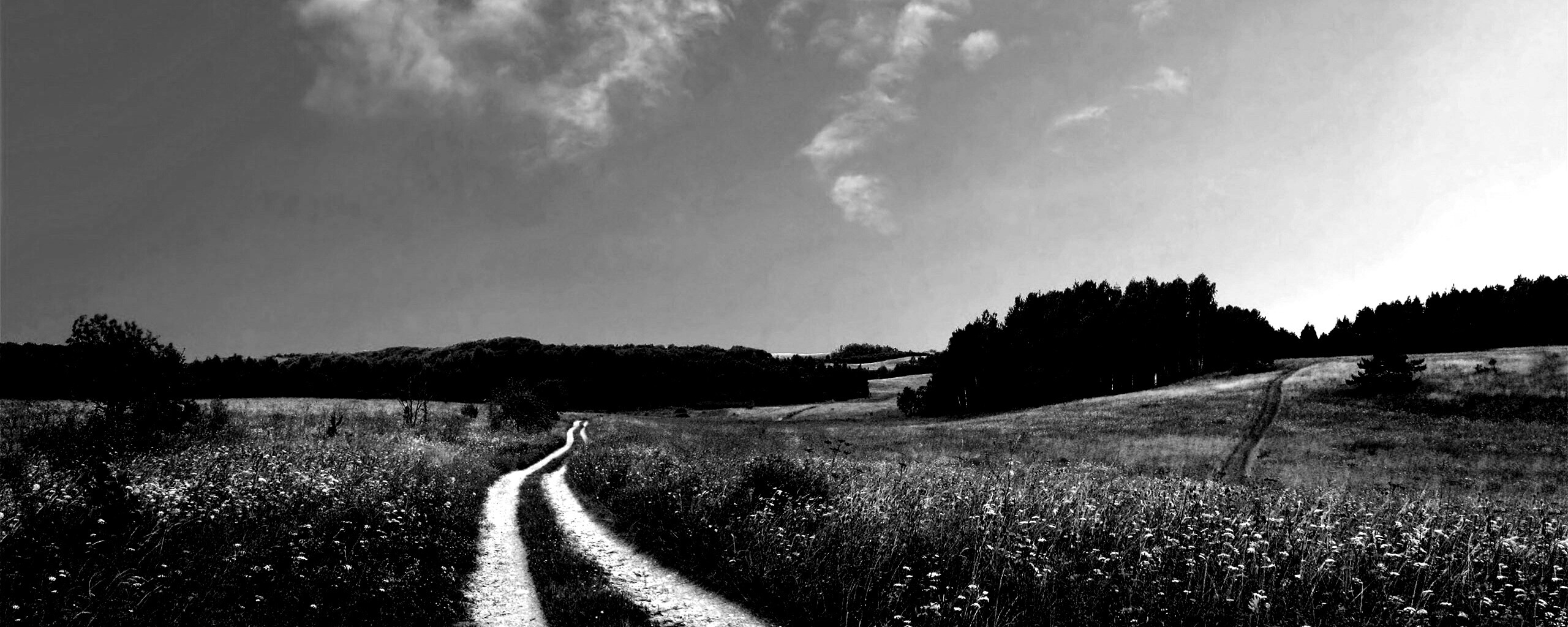 Дорога через луг обои