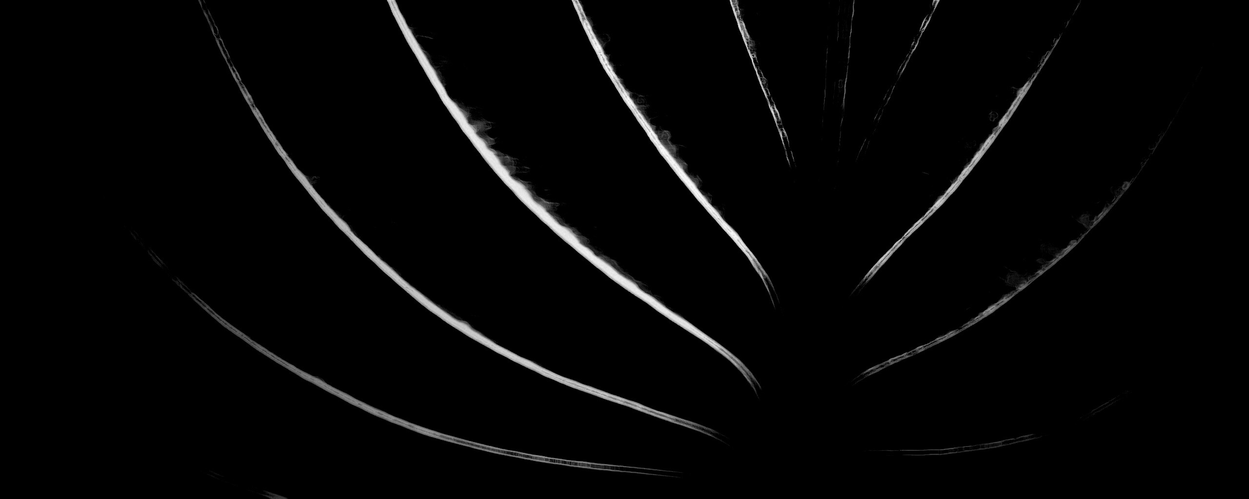 Неоновый лист обои