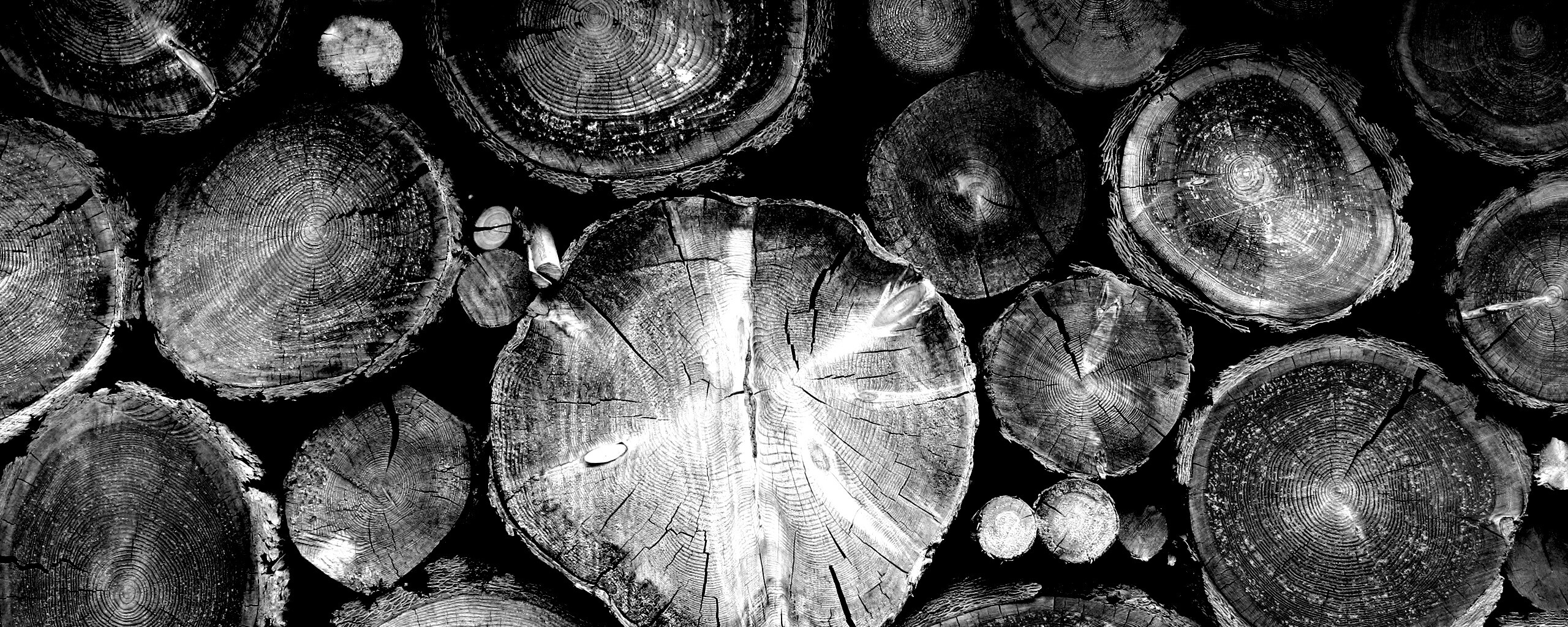 Древесный спил обои