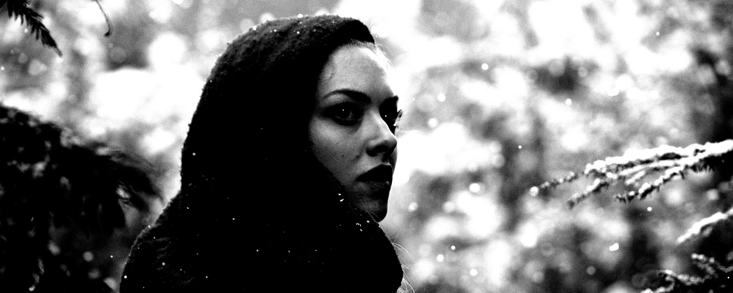 Amanda Seyfried in Red Riding Hood обои