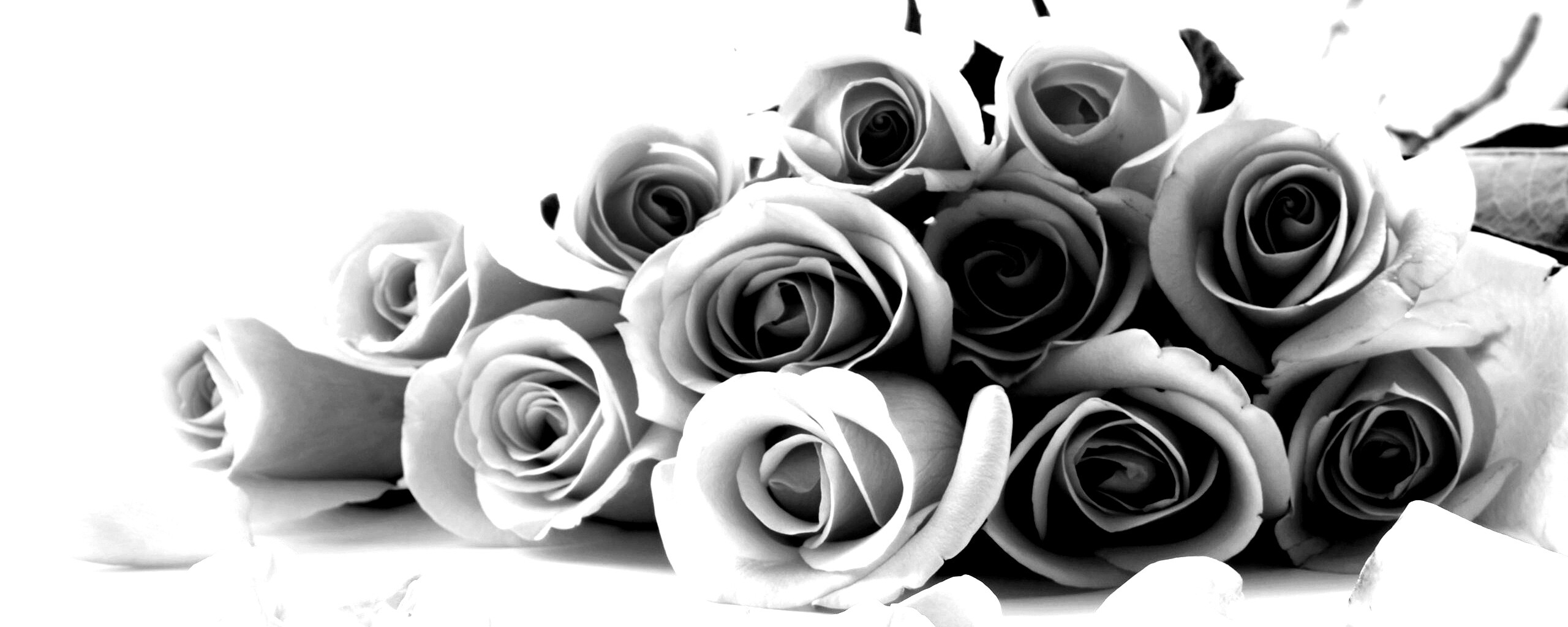 Букет роз обои