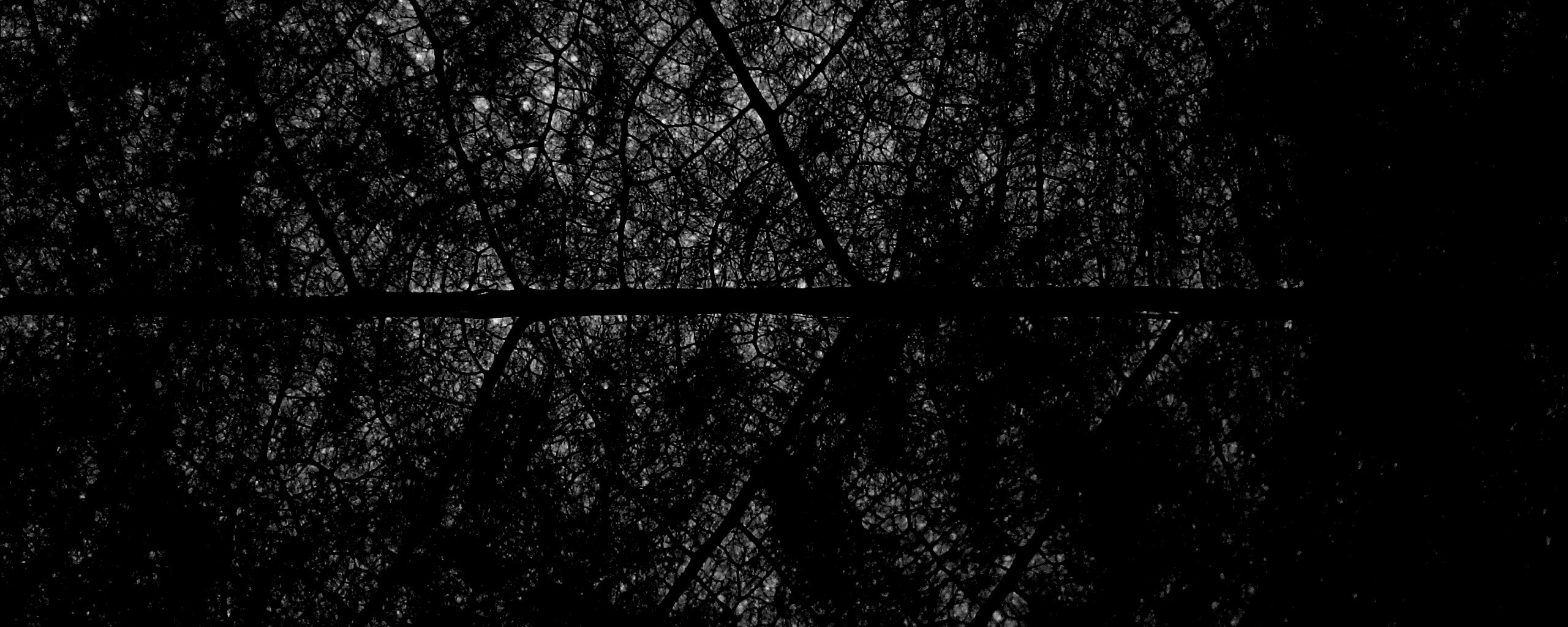 Свечение зеленого листа в макро обои