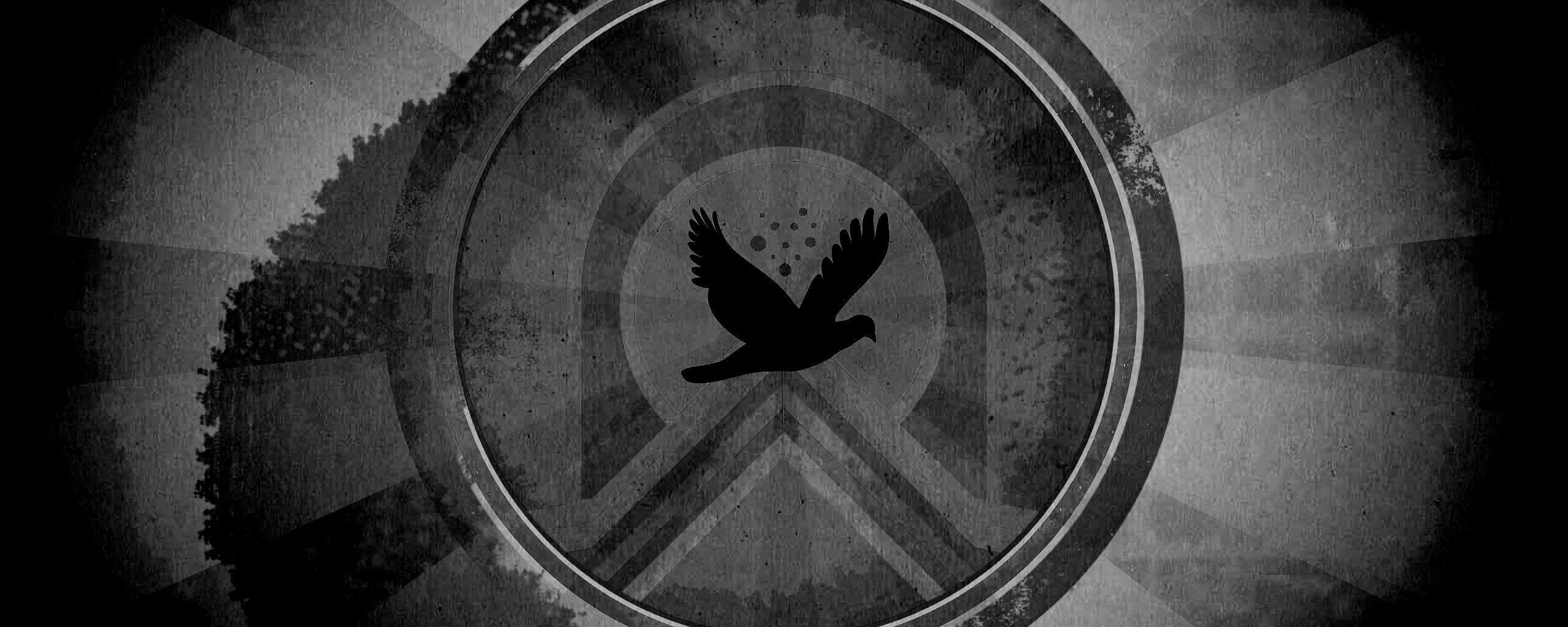 Голубь мира обои