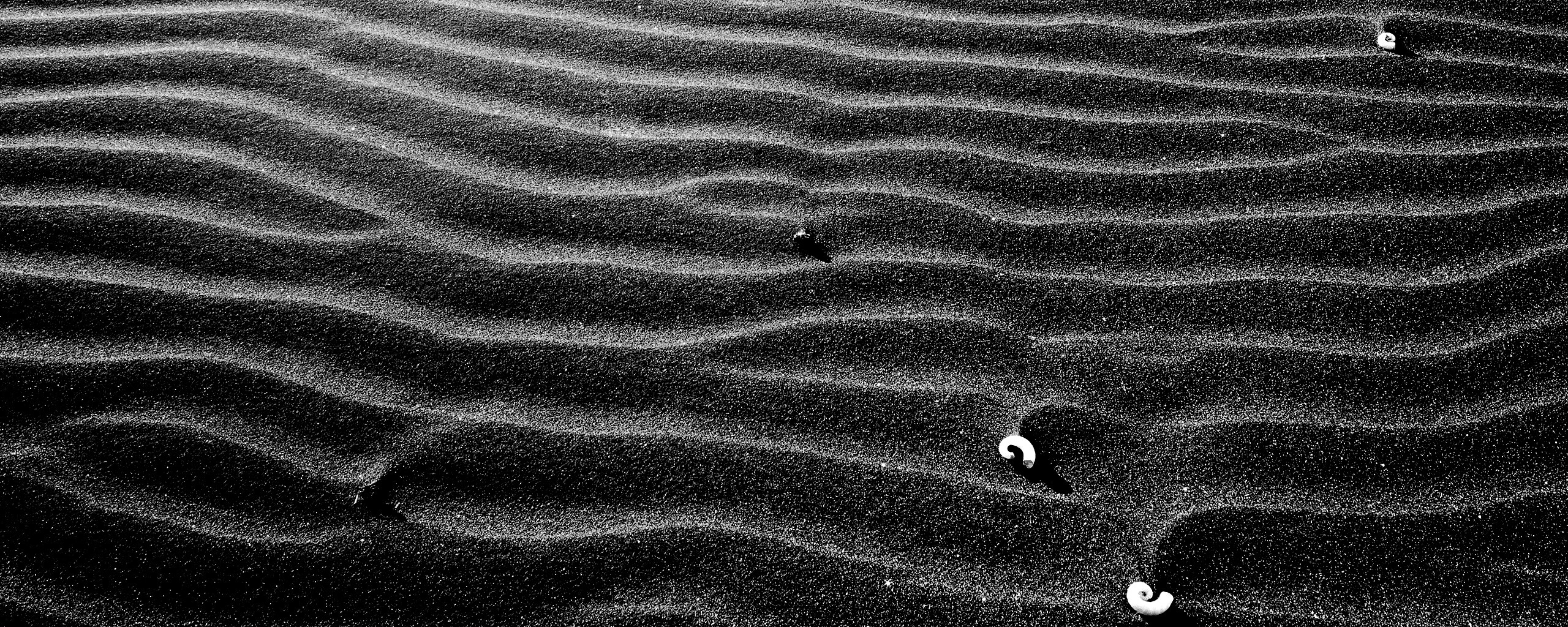 Песок и раковины обои