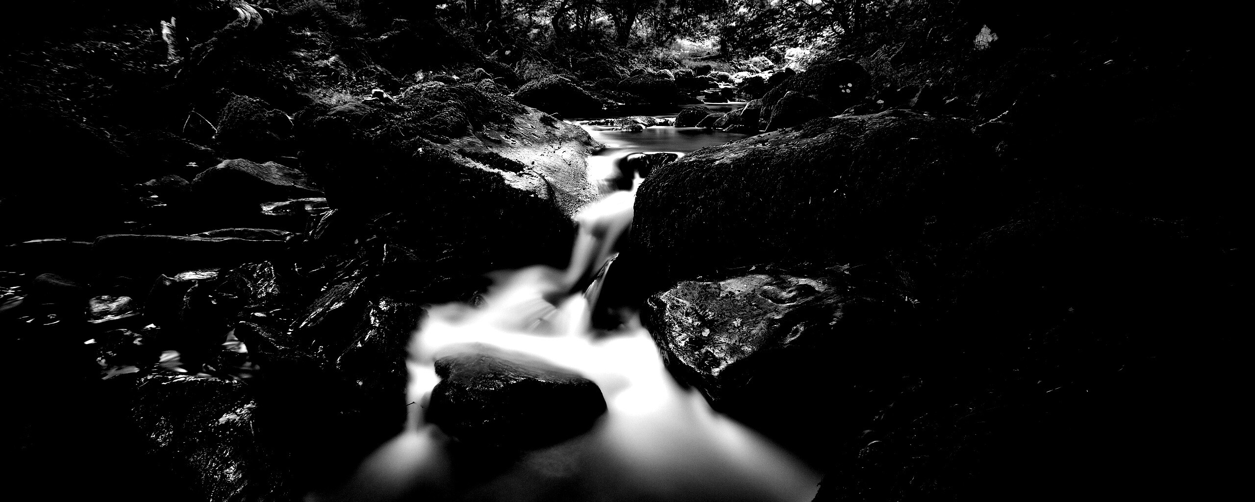 Речной поток в лесу обои