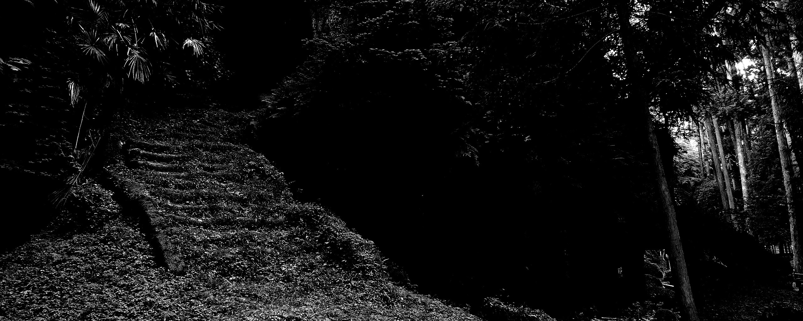 Старинный лесной храм обои