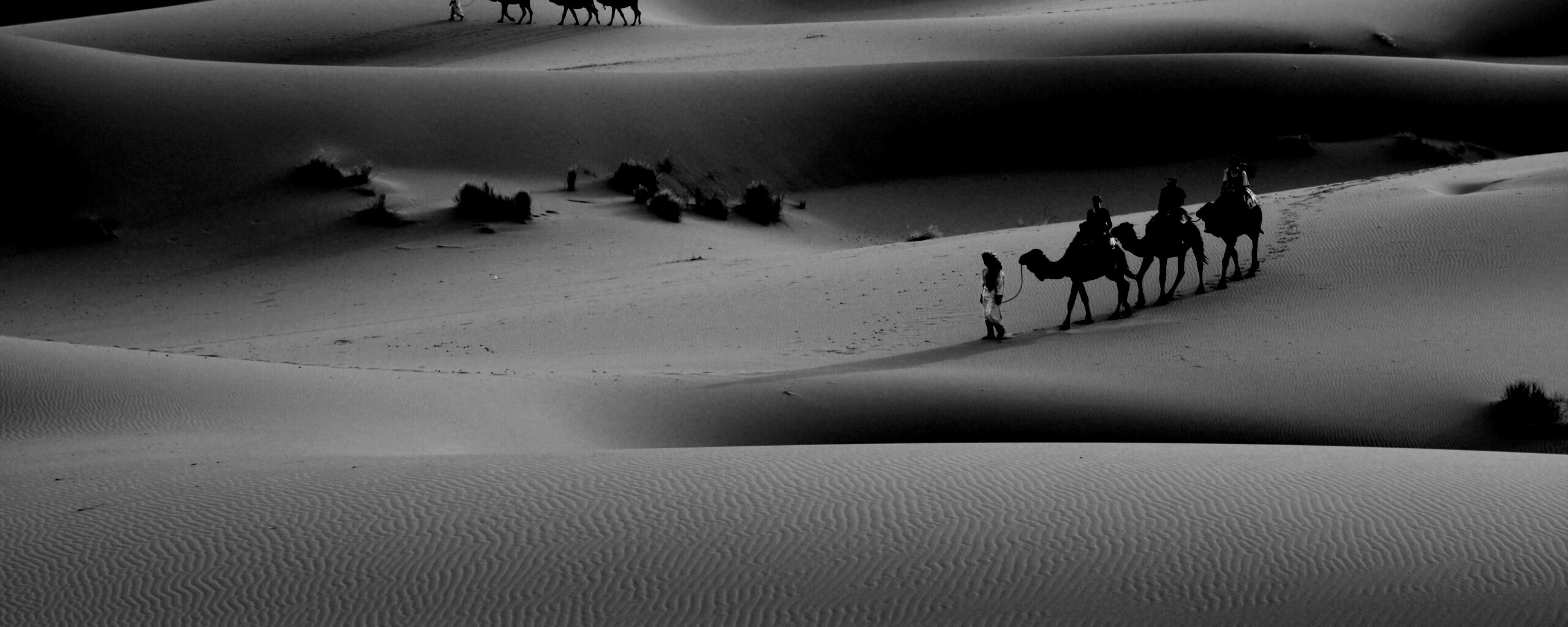 Караваны пустыни обои