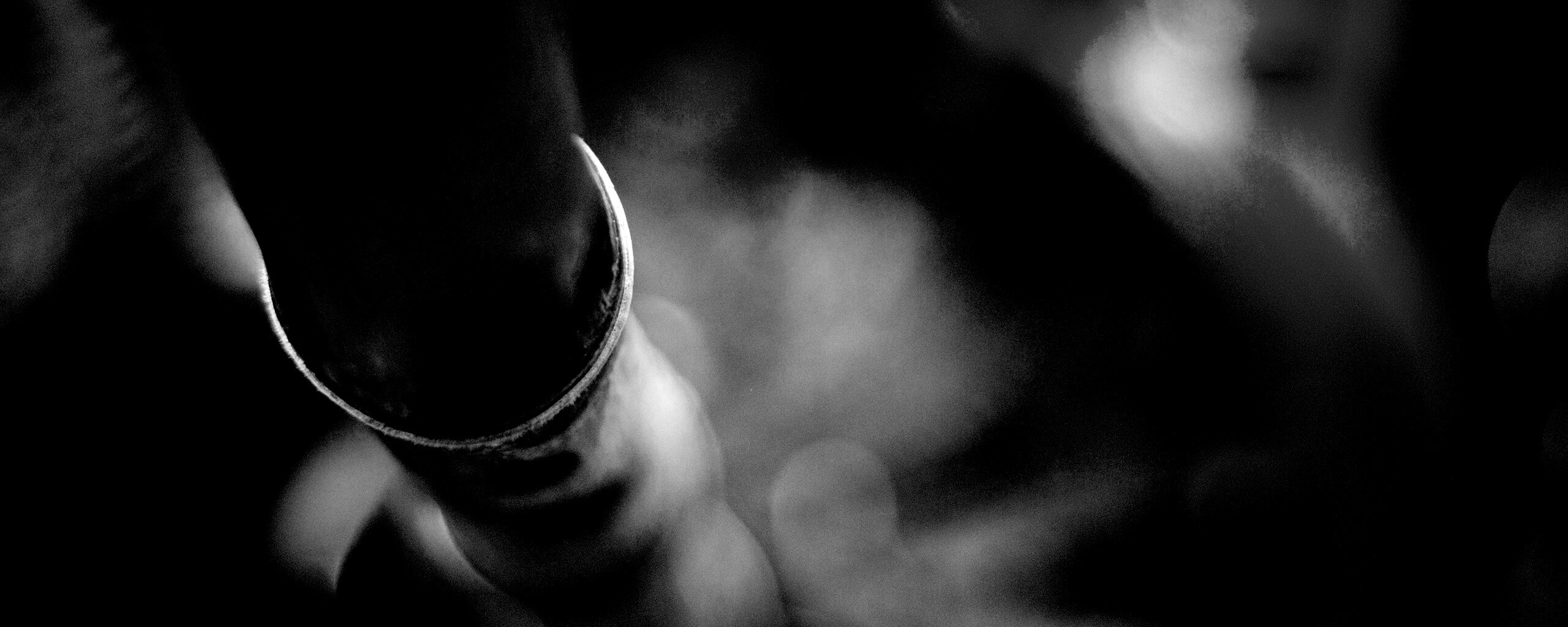 Бабмук растет обои