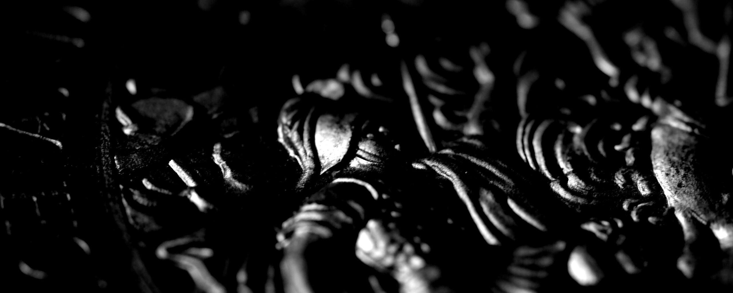 Монета в макро обои