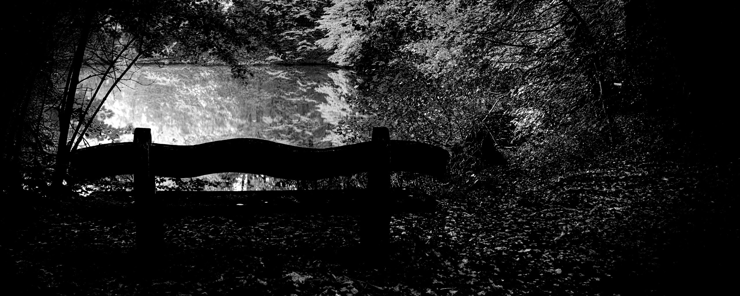 Скамейка в лесу обои