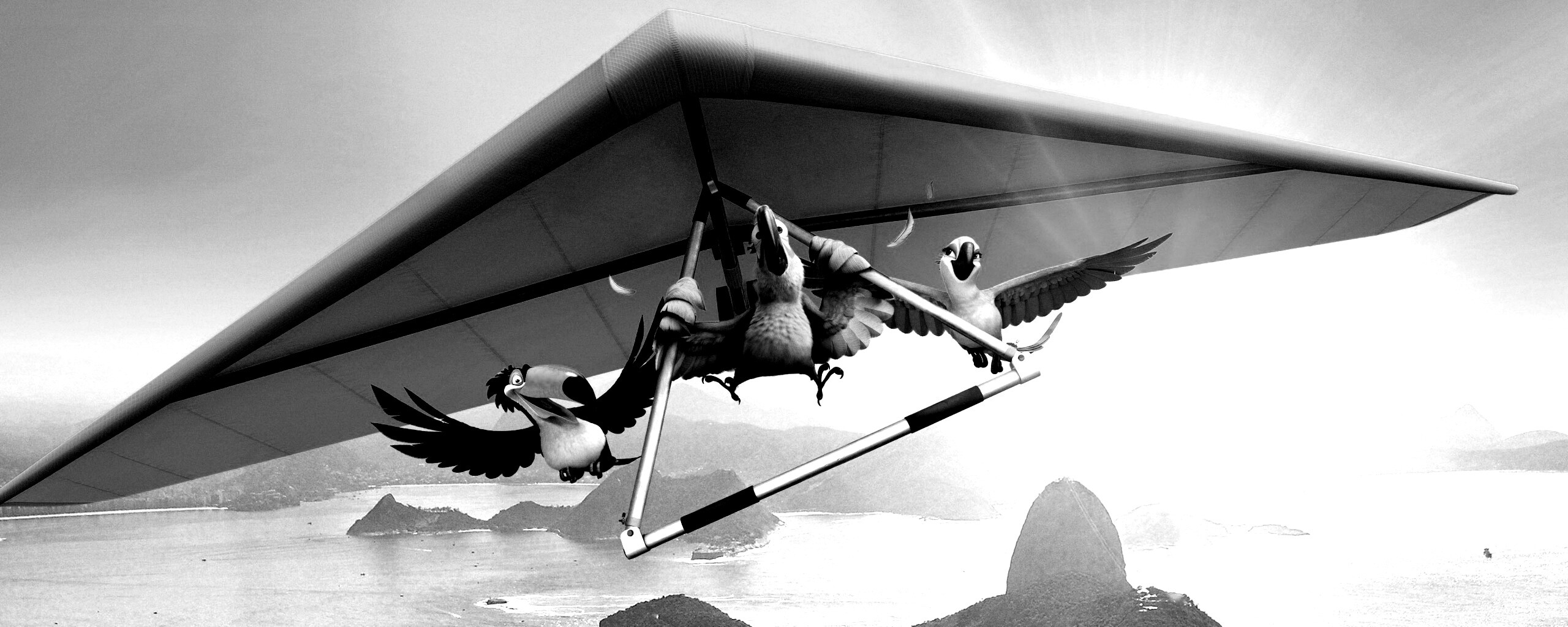 Герои мультфильма Рио обои