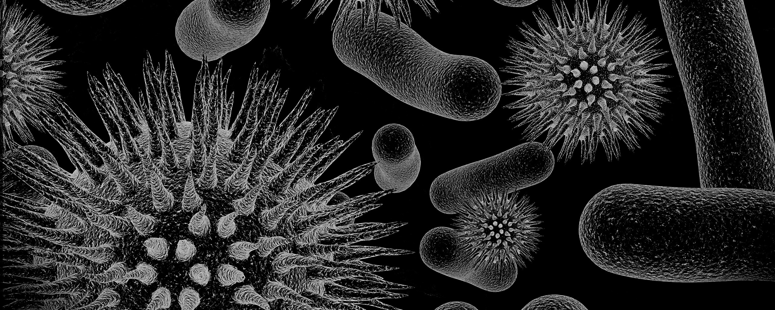 Бактерии обои