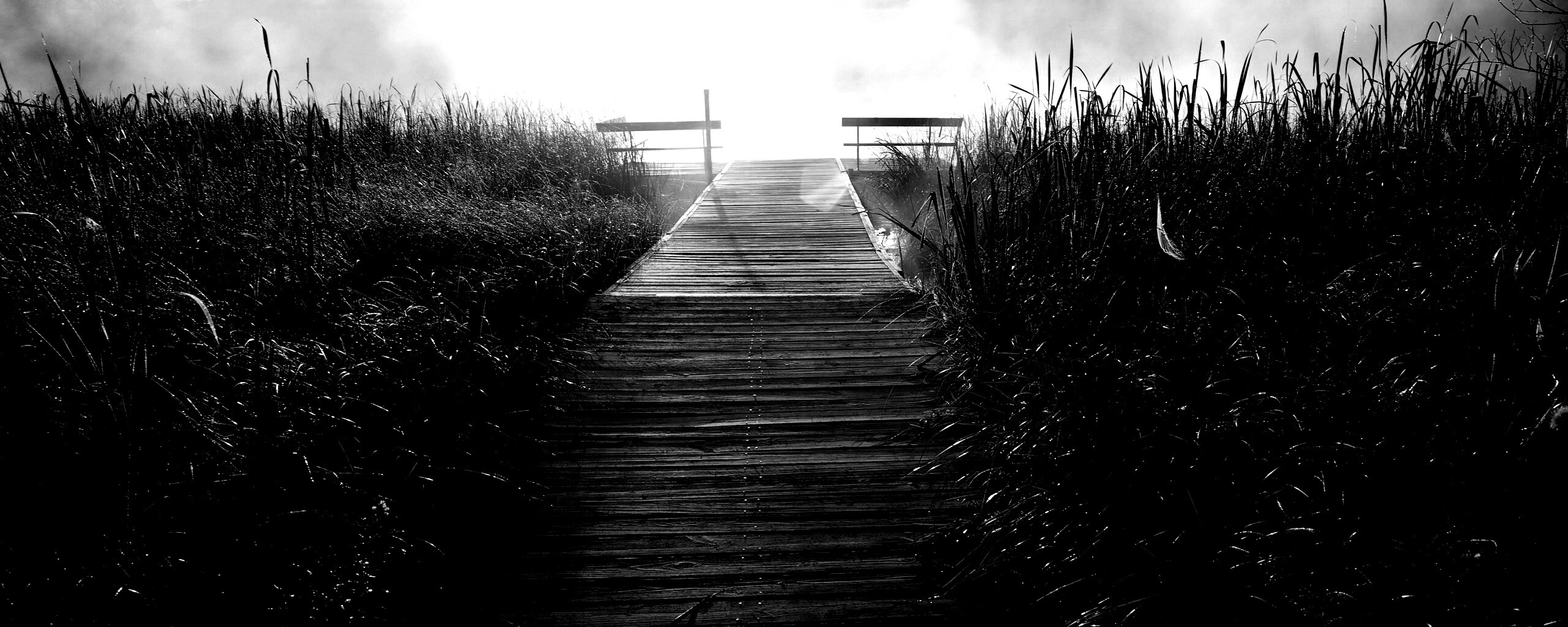 Выход к реке обои