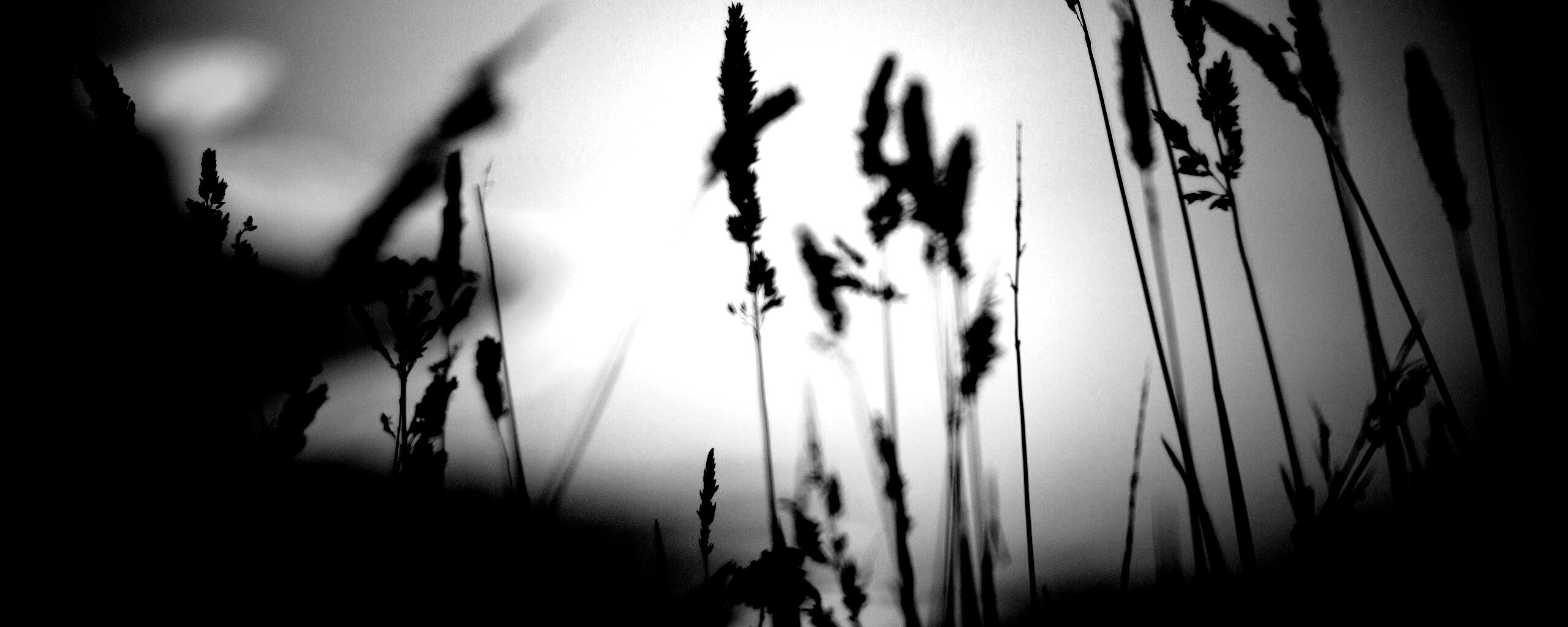 Дыхание природы обои