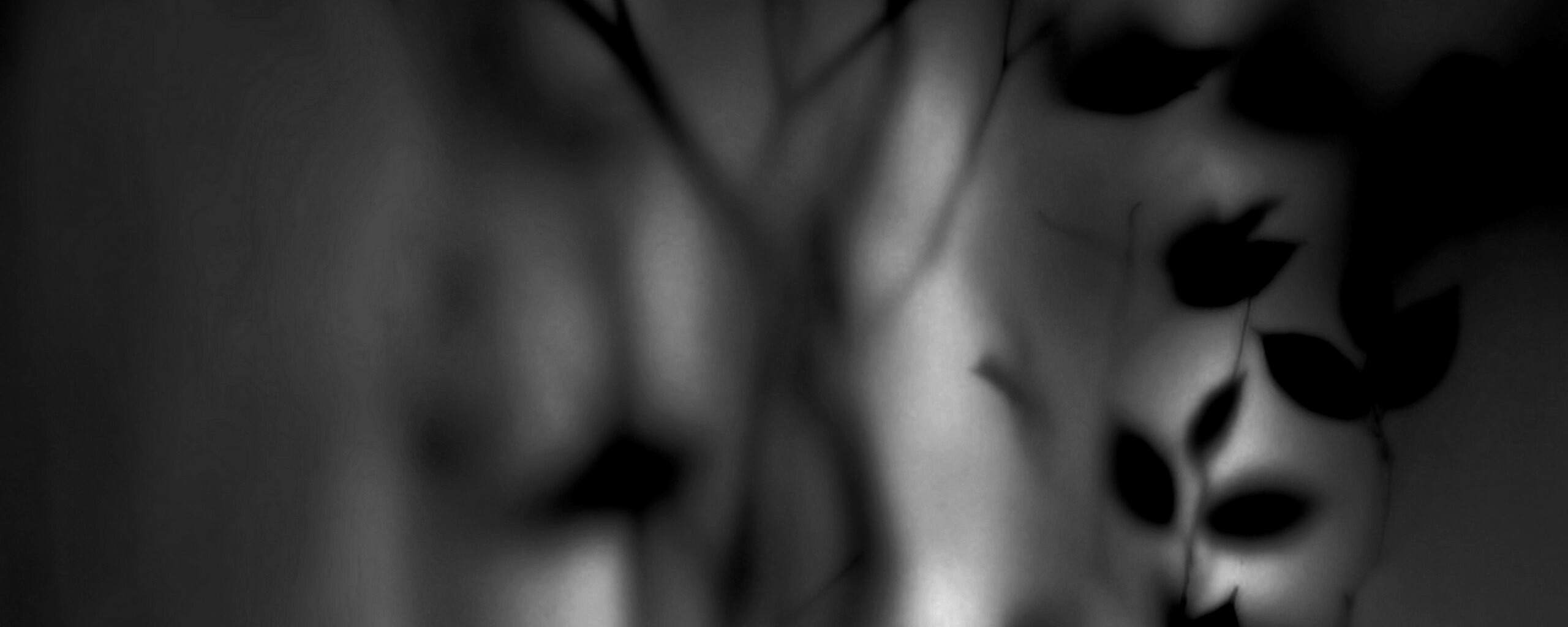 Зелень за стеклом обои