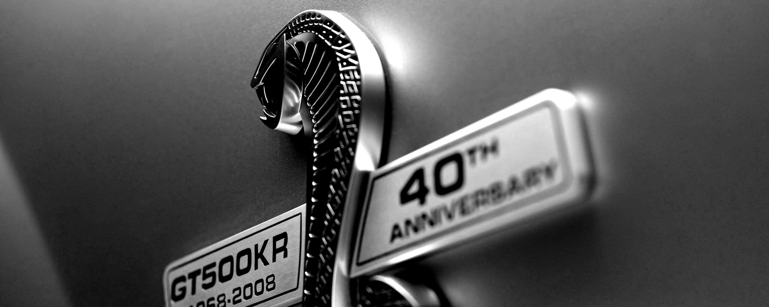 Шильдик Ford Mustang Shelby обои