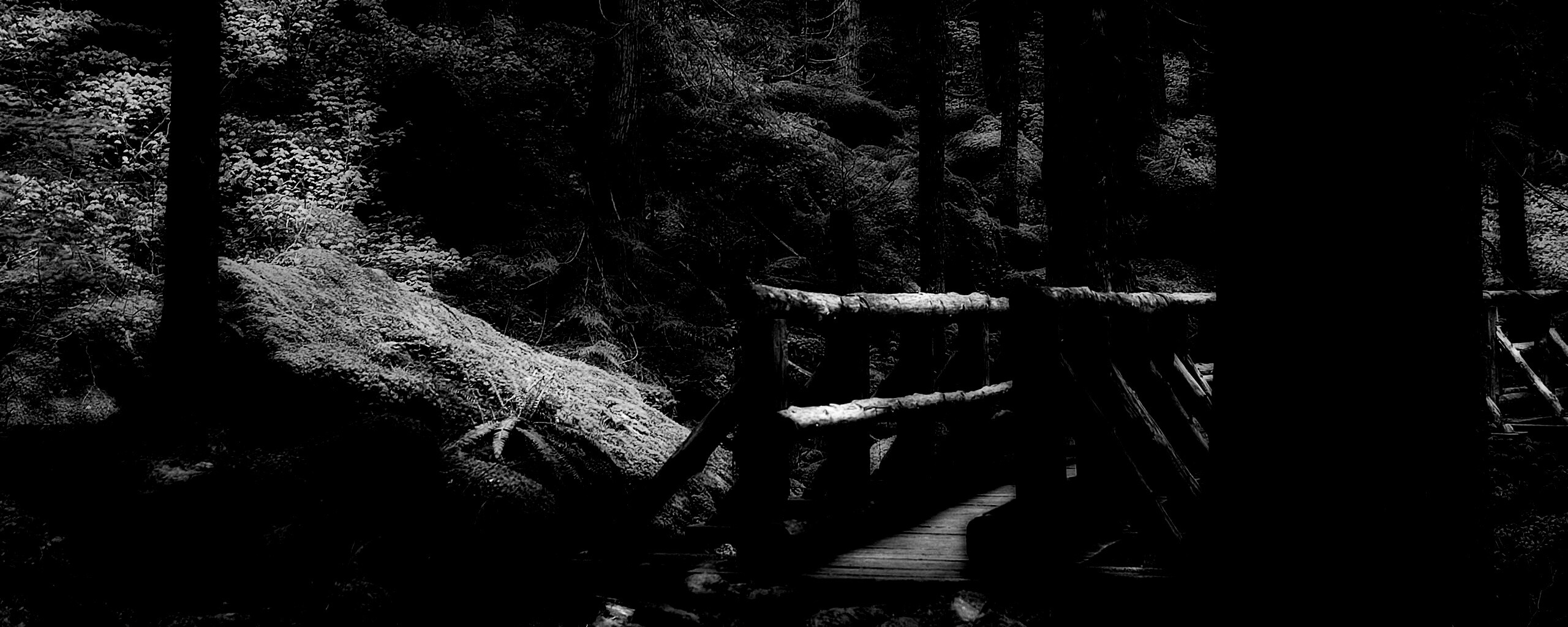 Бревенчатый мост в лесу обои