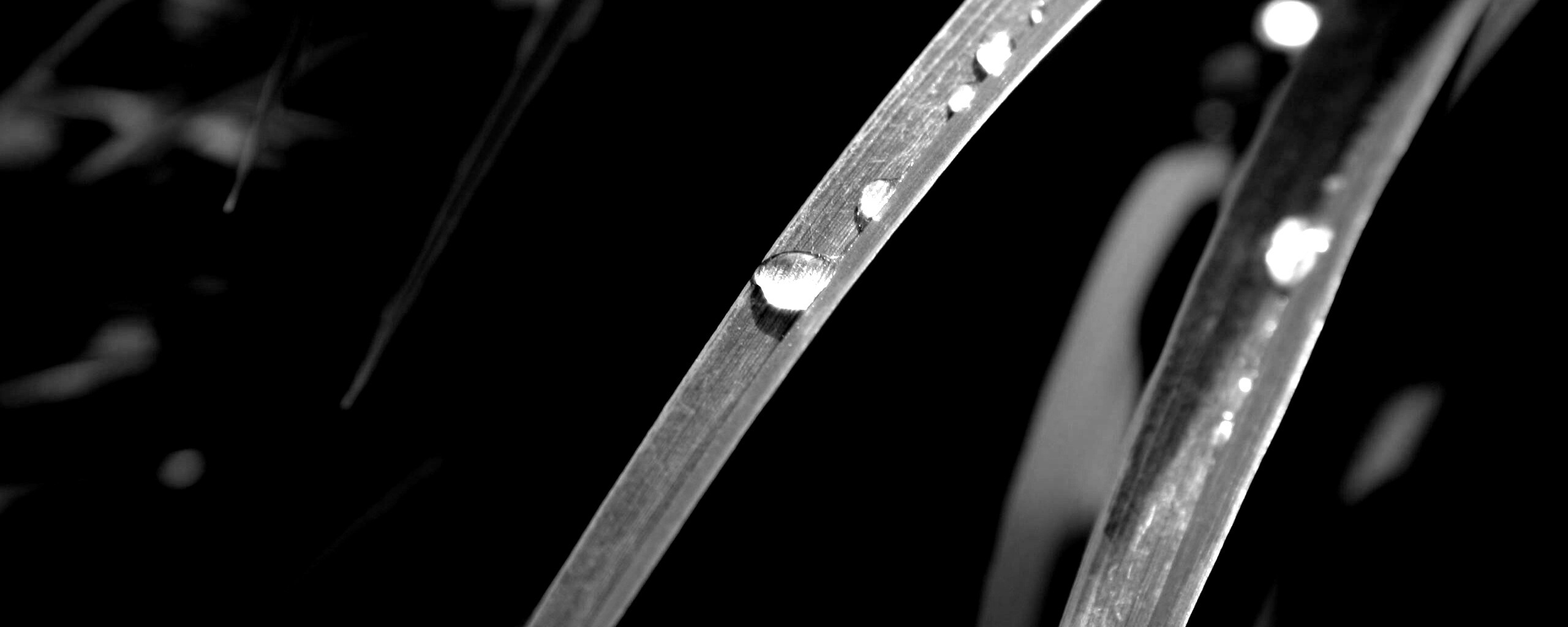 Капли росы на траве обои