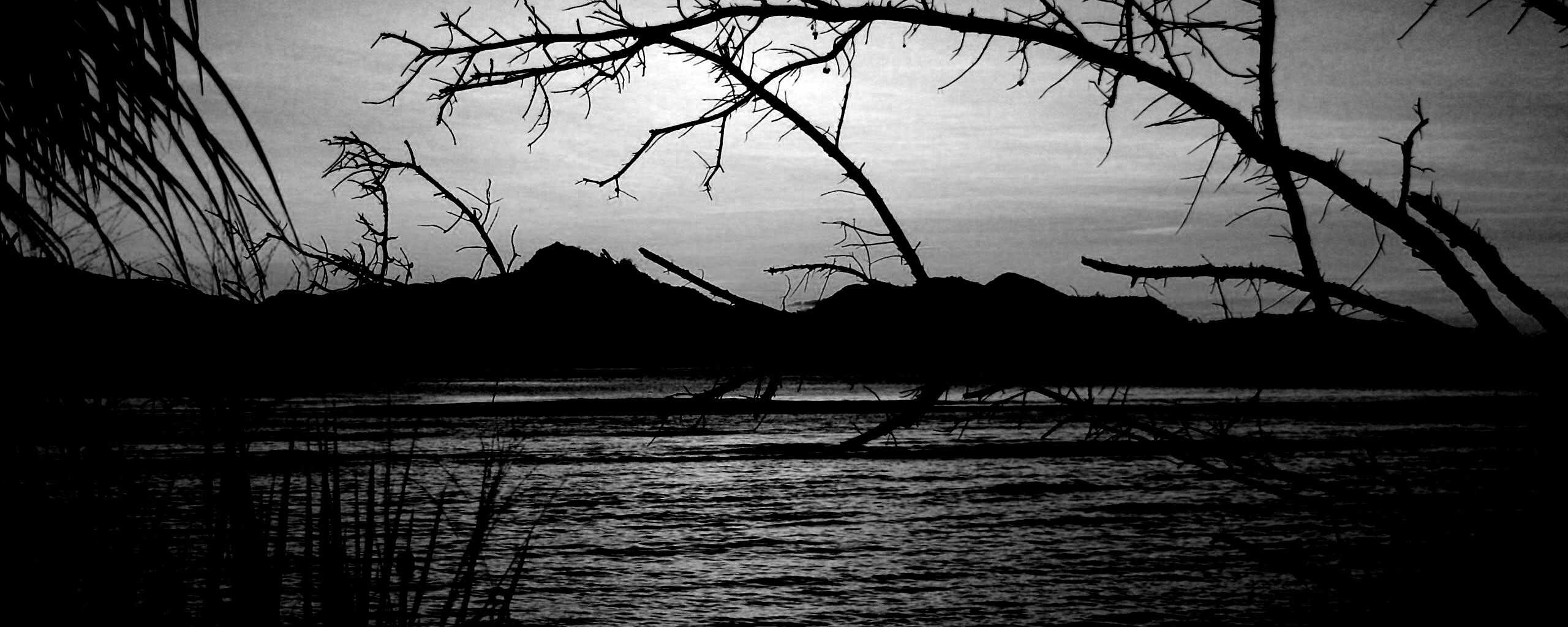 Тропический закат обои