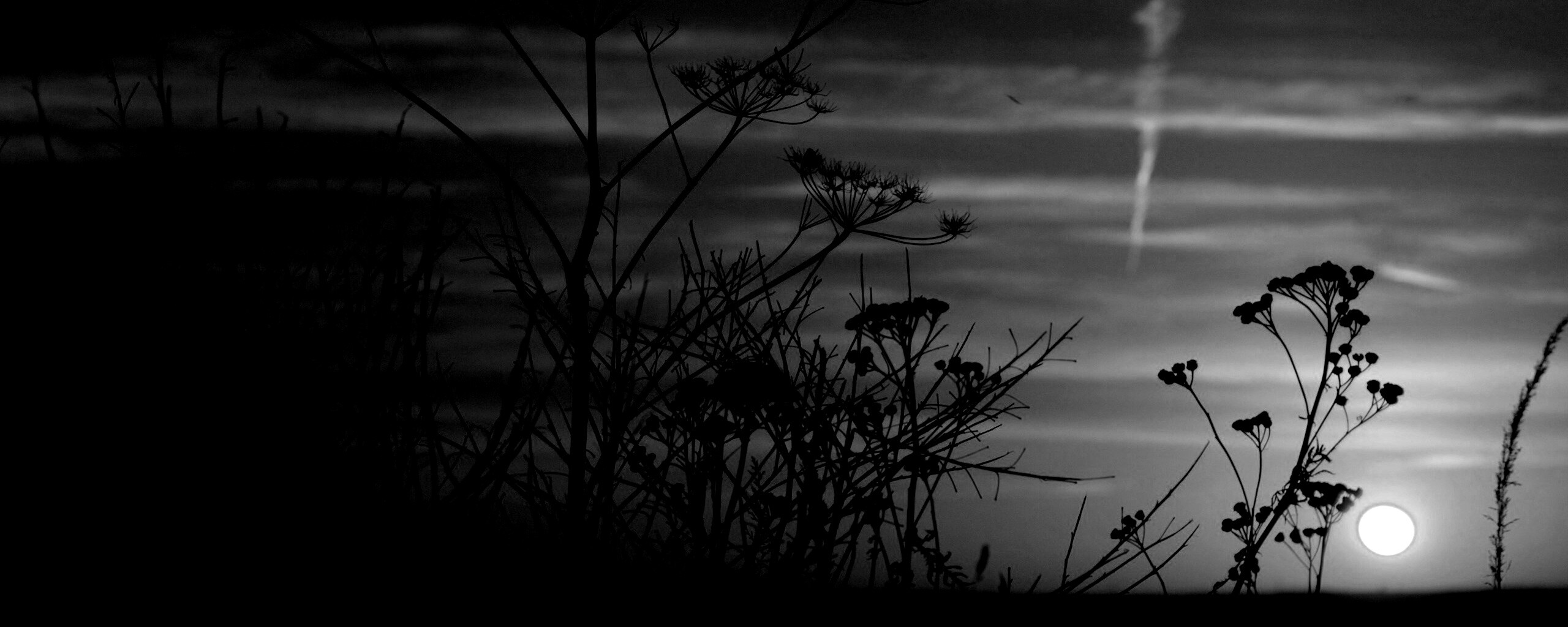 Степной закат обои