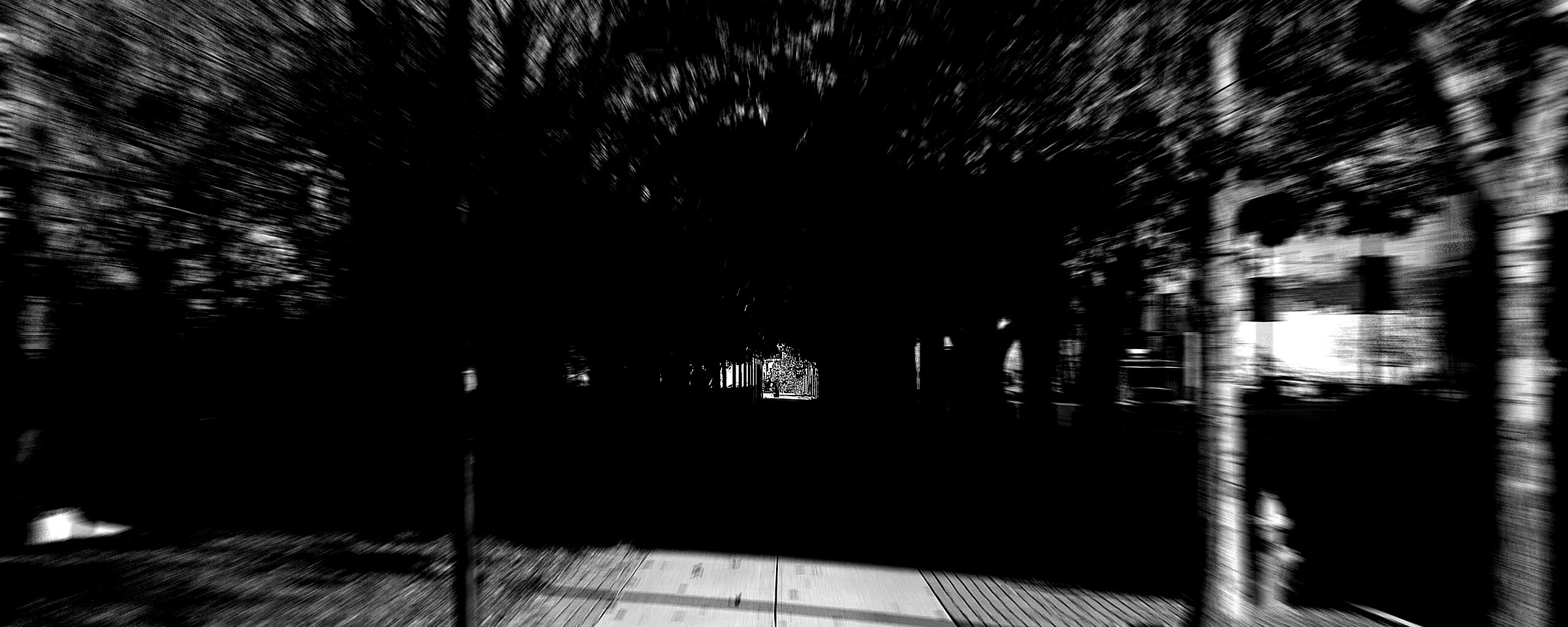 В парке обои