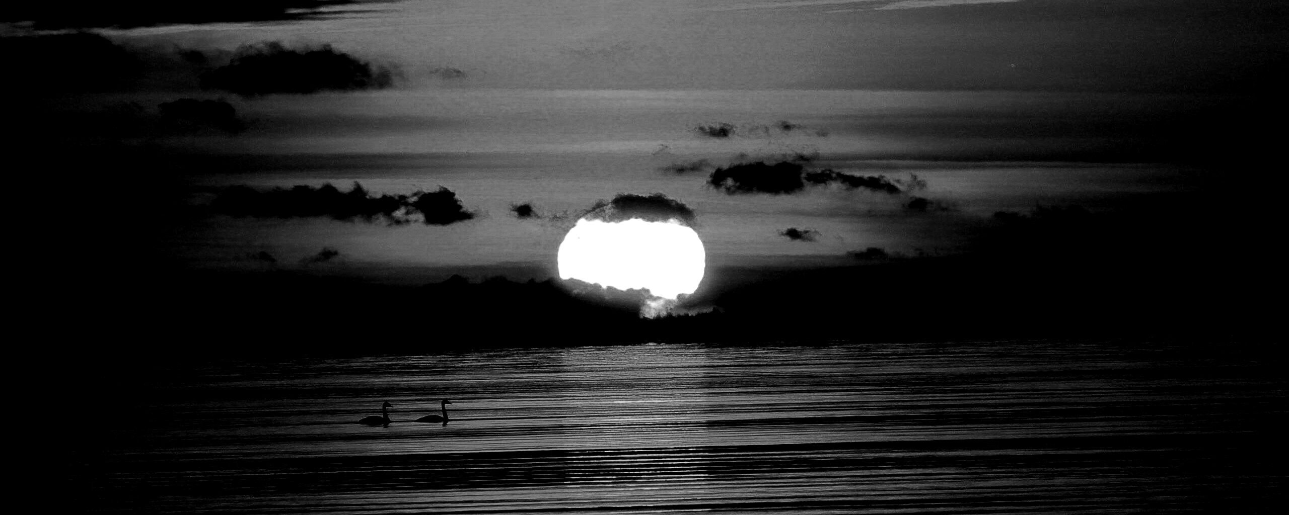 Великолепный рассвет обои