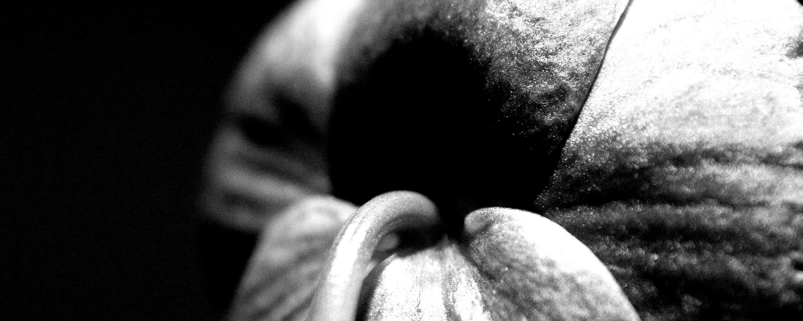 Розовый стебель обои