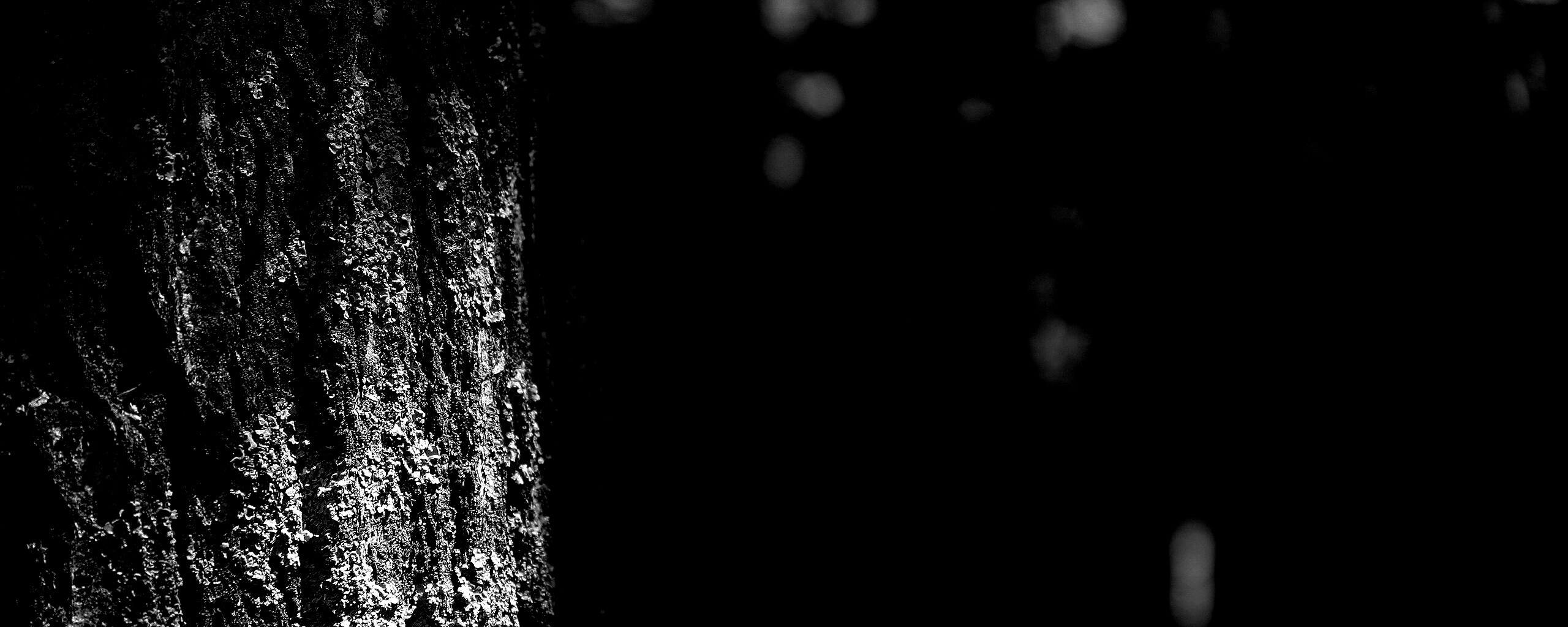 Ствол дерева обои