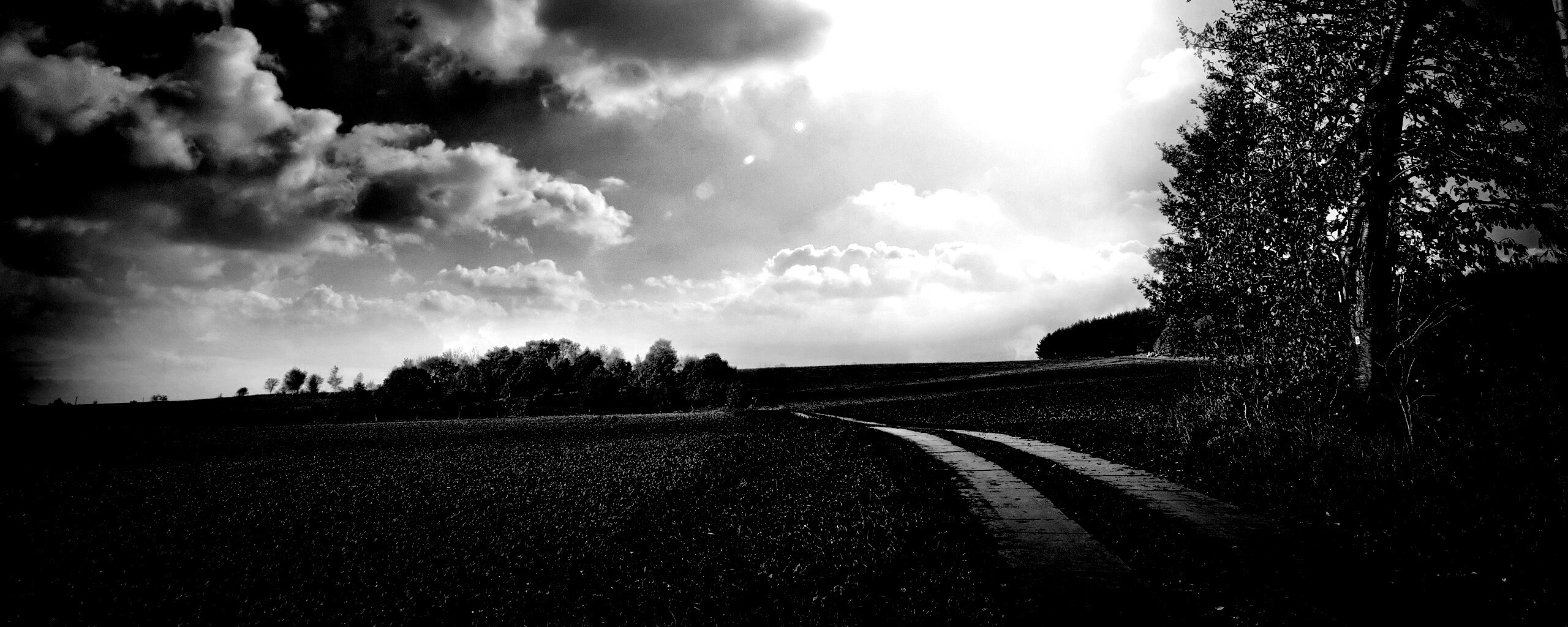 Солнечные холмы обои