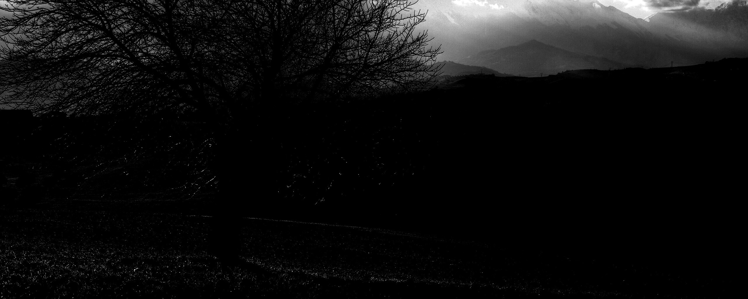 Дерево и горы обои