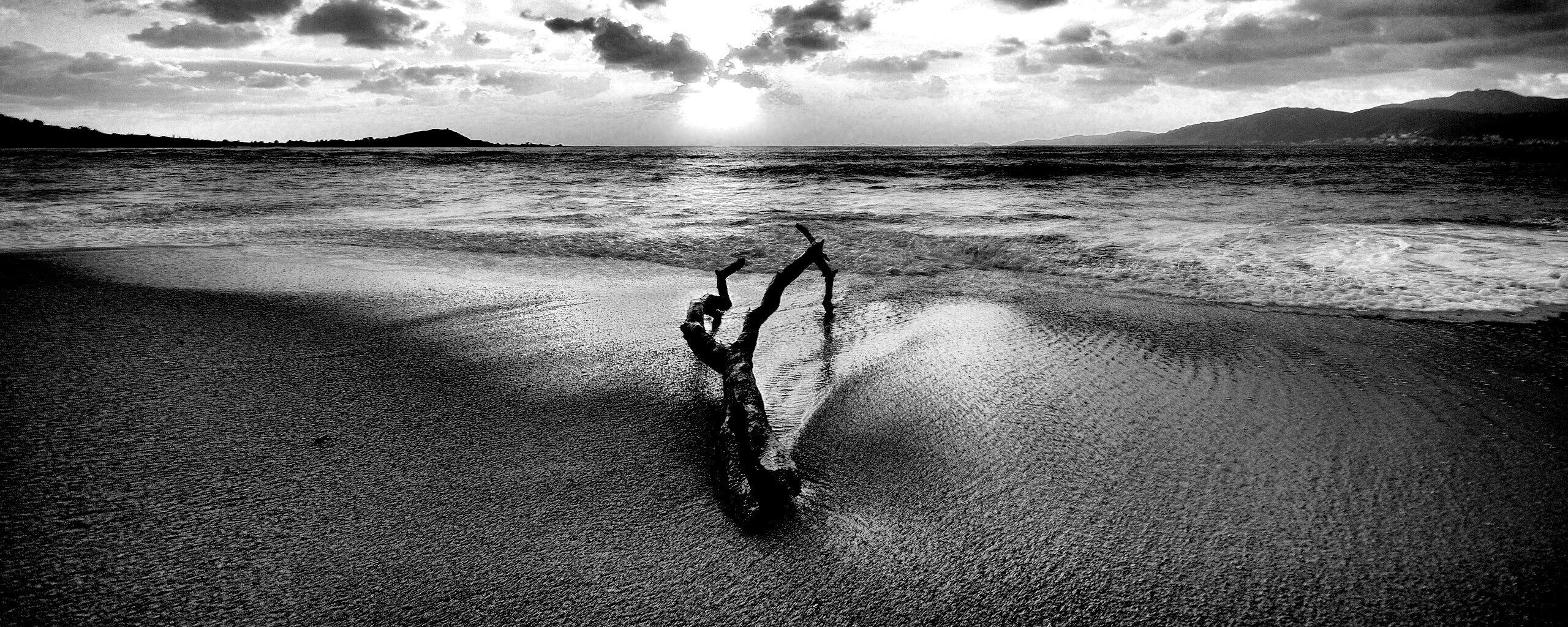 Коряга на пляже обои