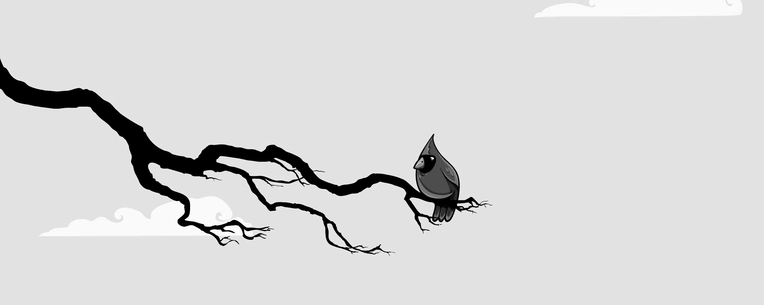 Красная птица на ветке обои