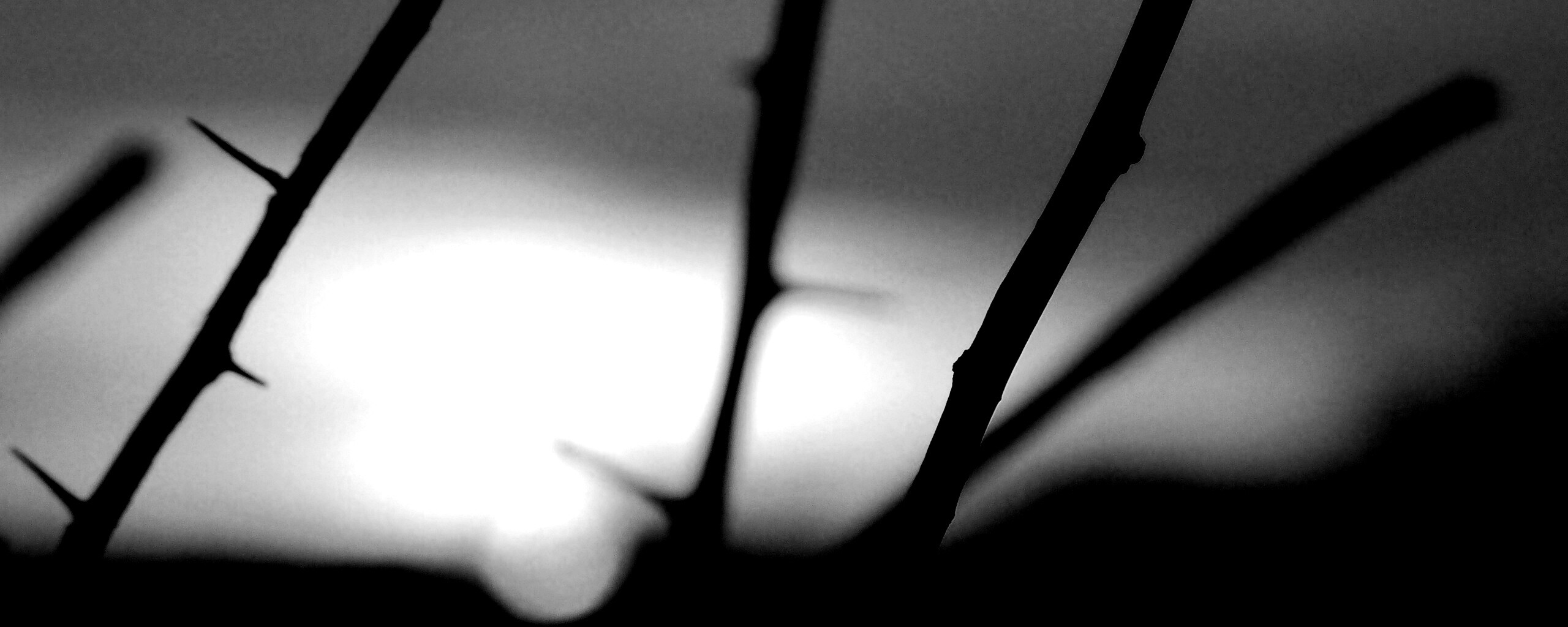 Закат солнца в поле обои