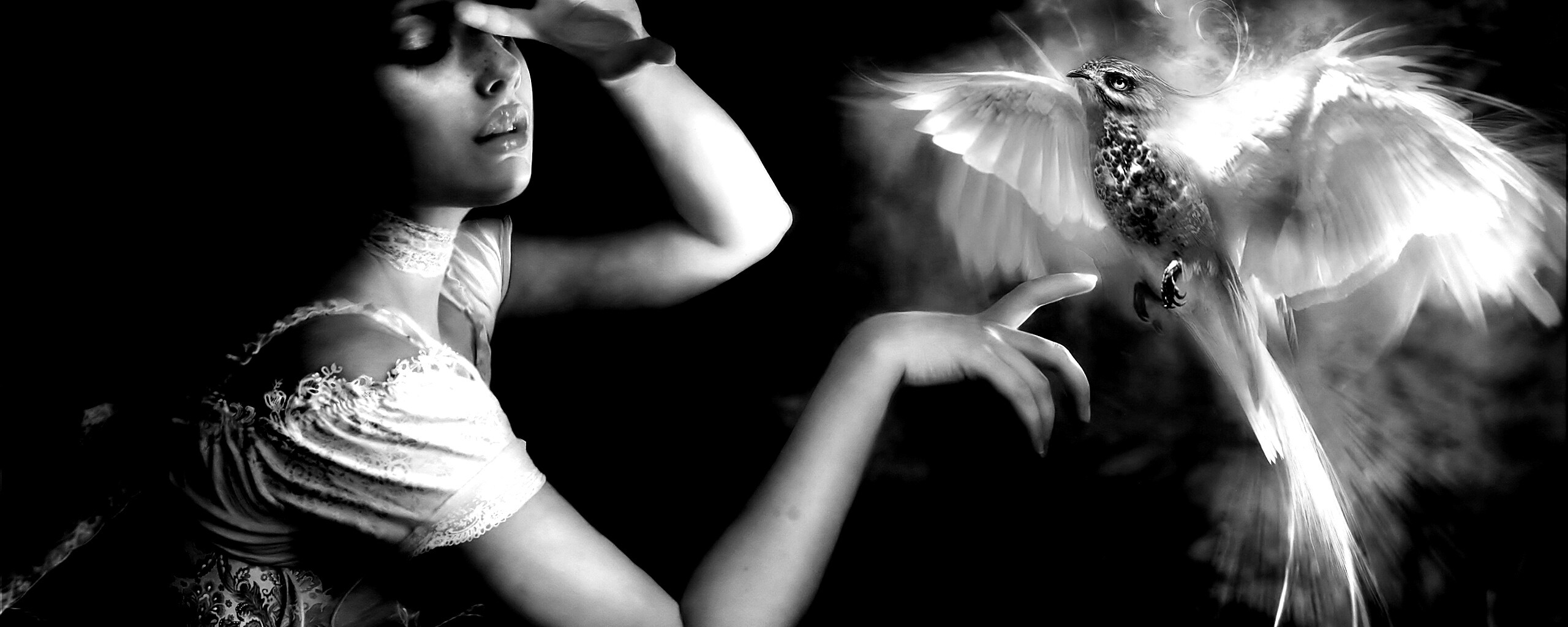 Феникс обои