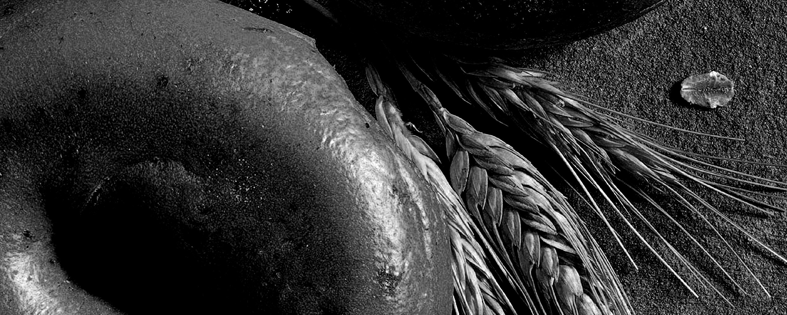 Свежие булочки обои