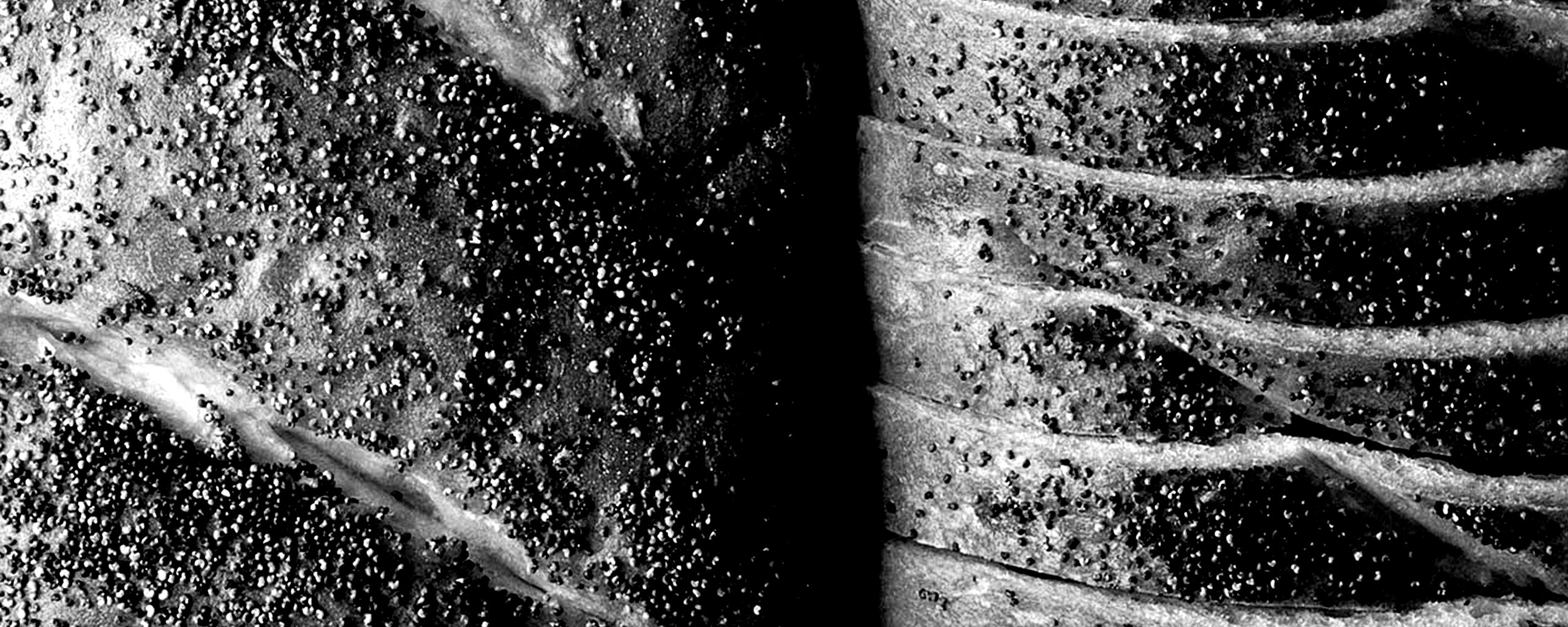 Выпечка с маковой крошкой обои