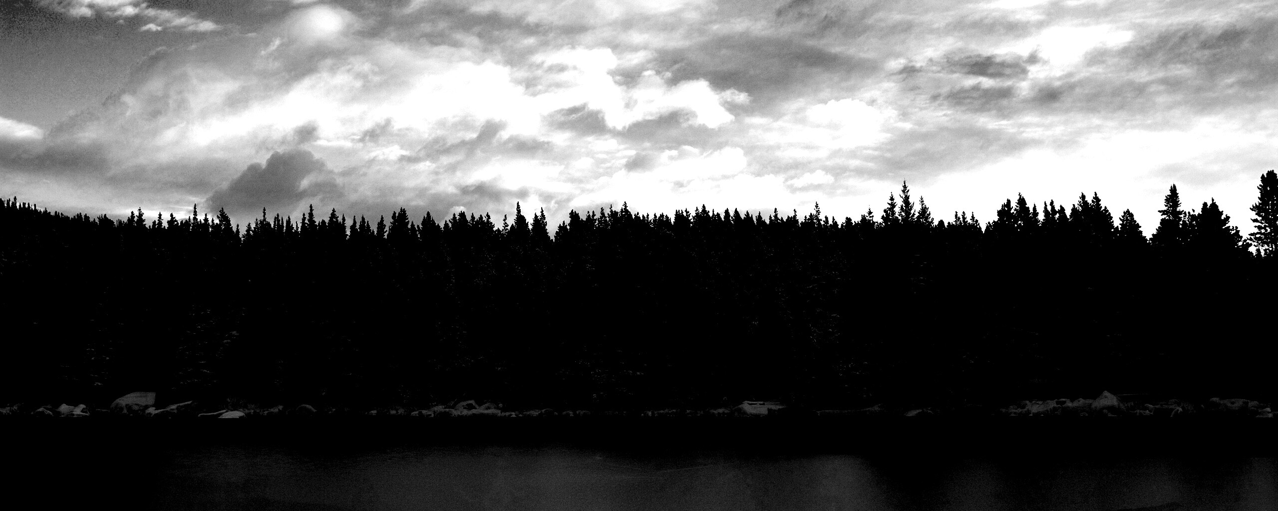 Лес на озере обои