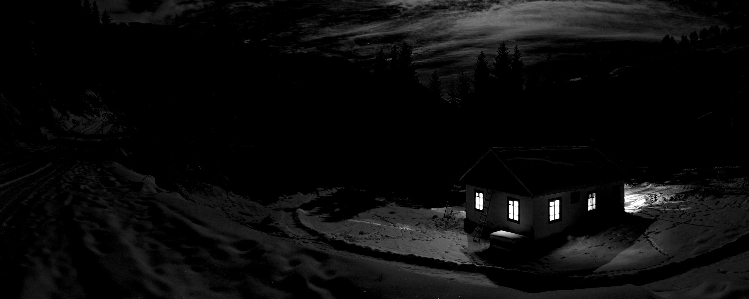 Один в зимнем лесу обои