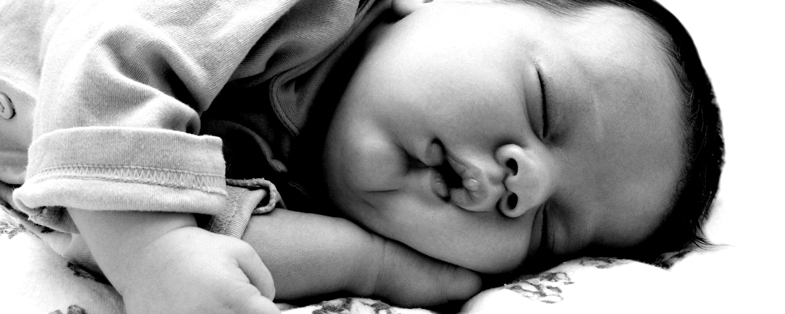 Спящая прелесть обои