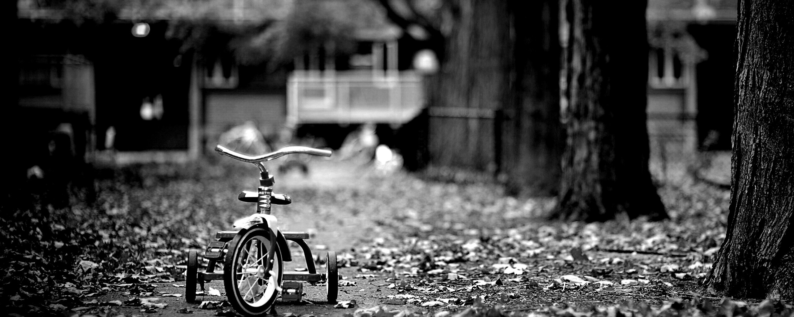 Трёхколёсный друг на осенней дорожке обои