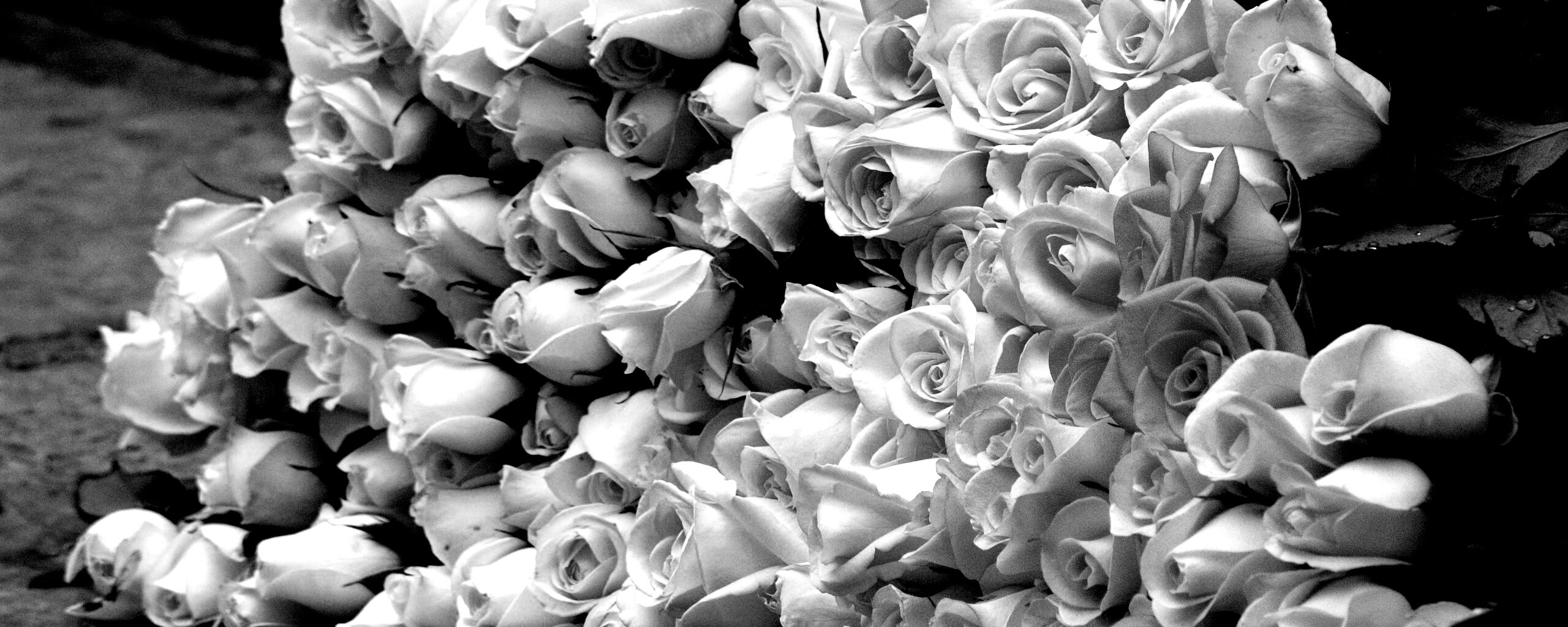 Букеты светлых роз обои